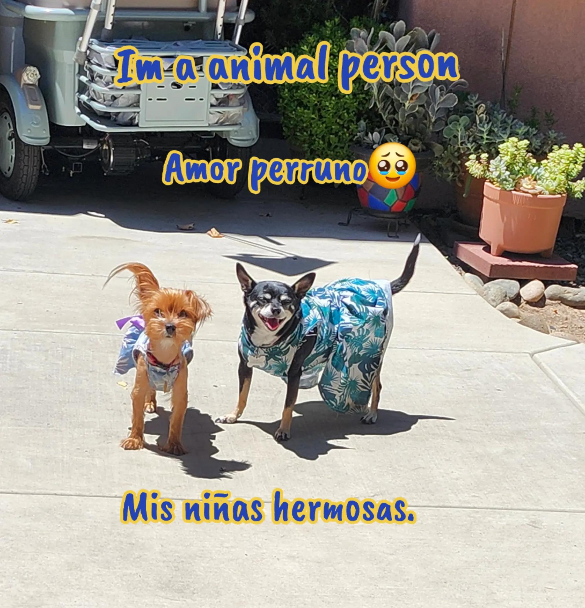 @🌸🍀🌺SOCURI 🌺🍀🌸