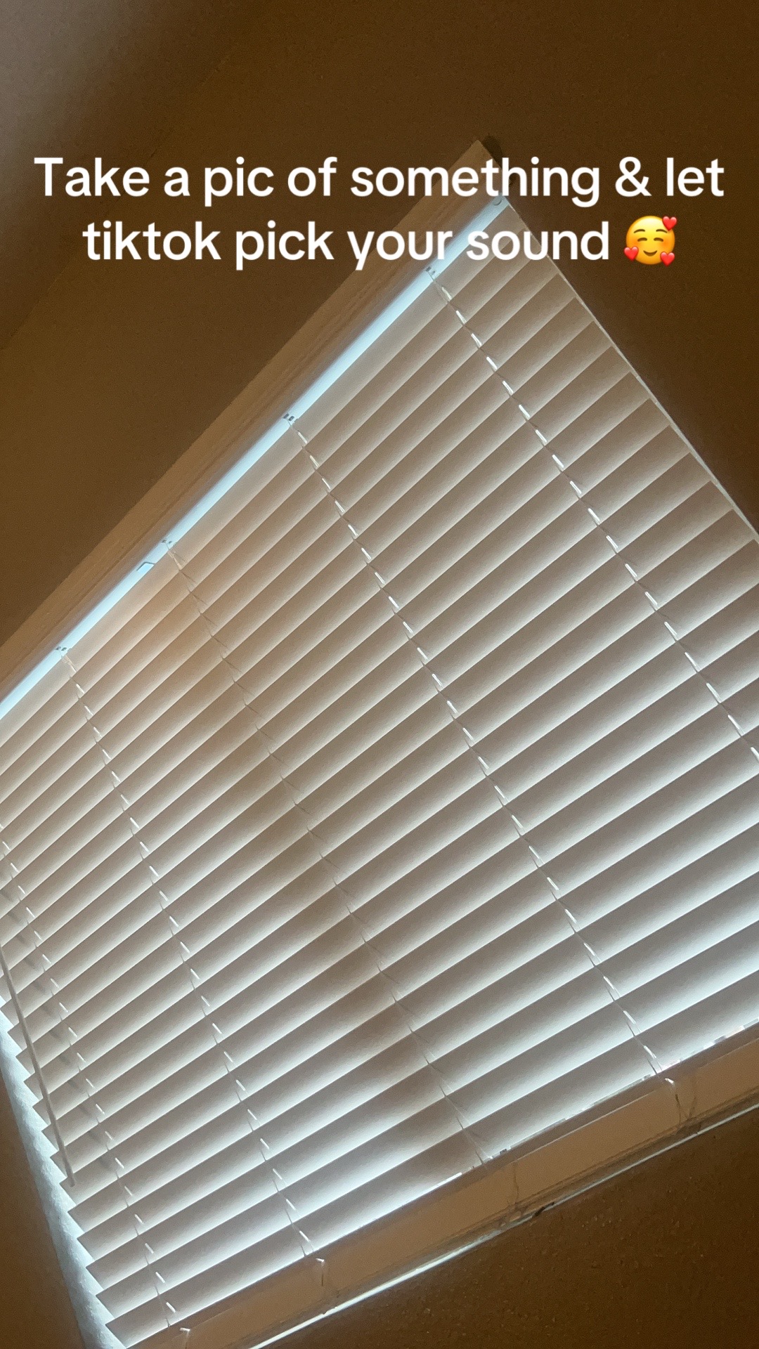 @Shavonne