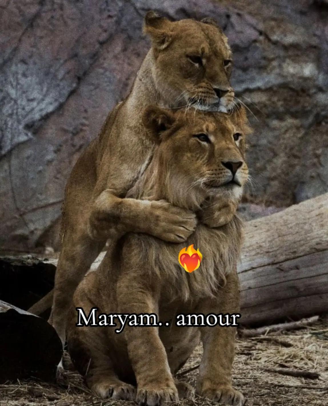 @amira❤️