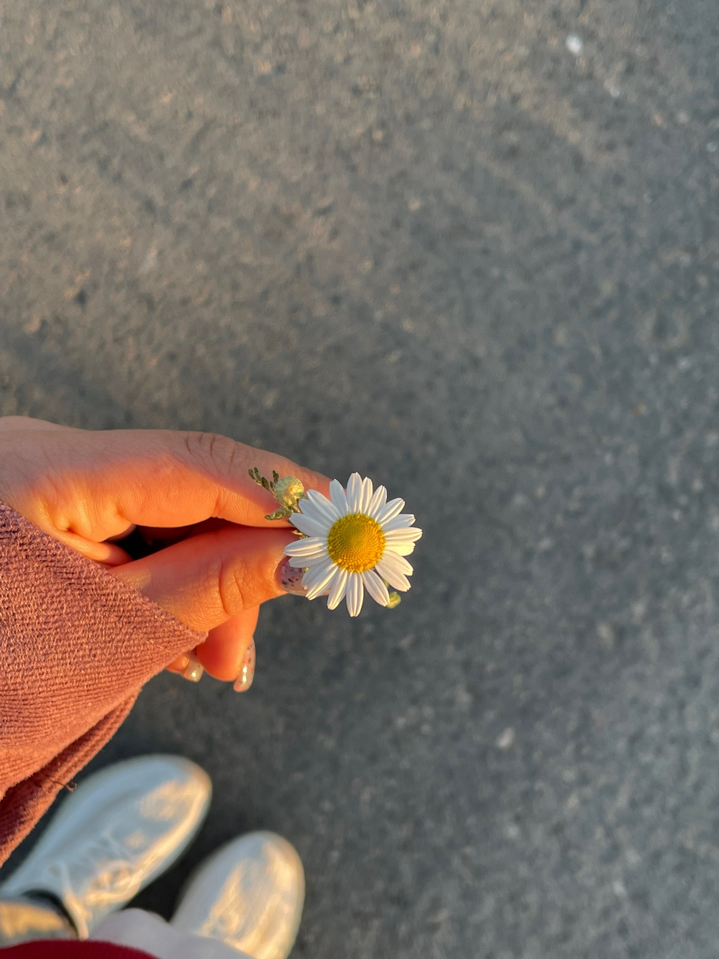 @К.💎