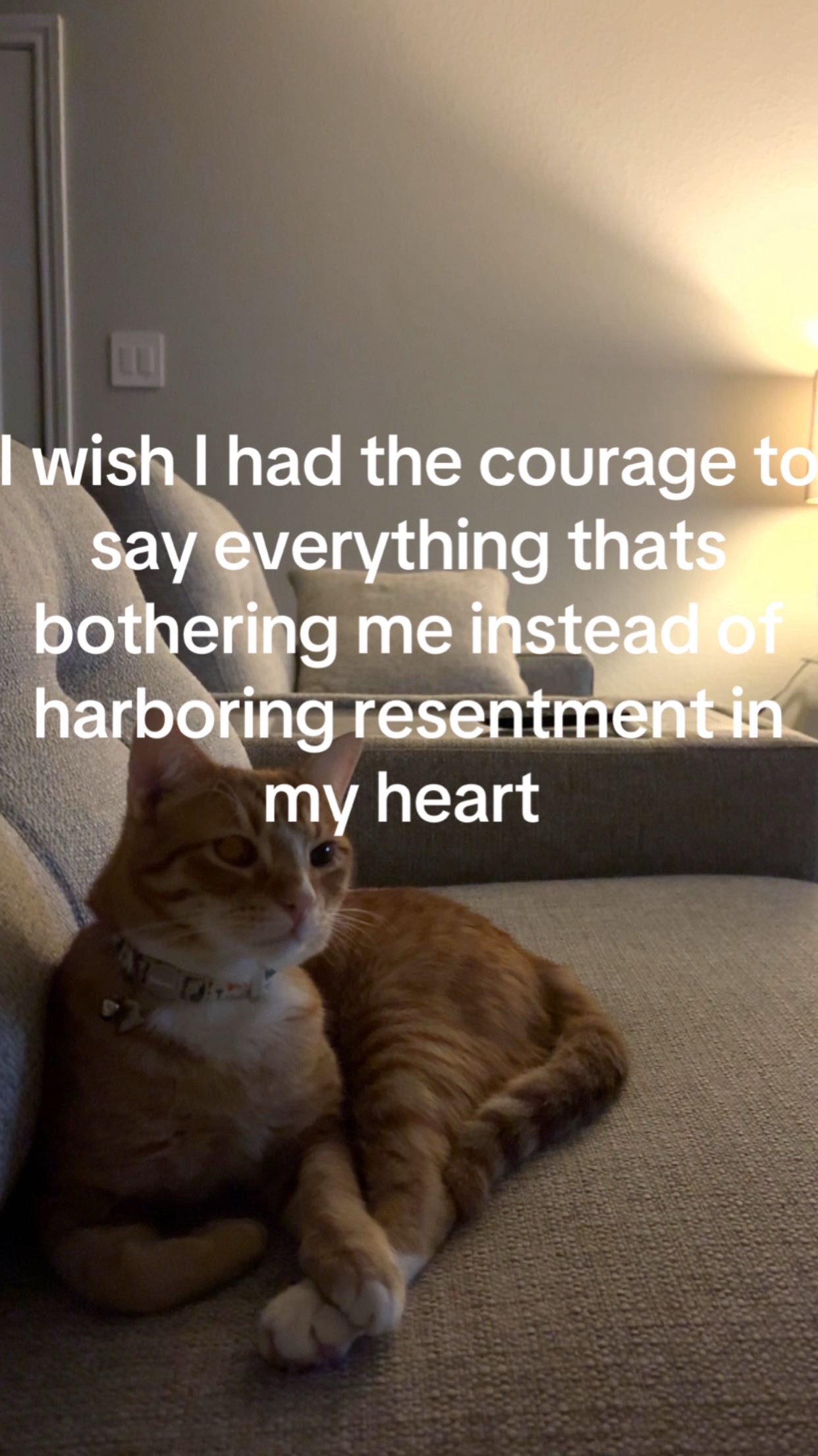 @:/