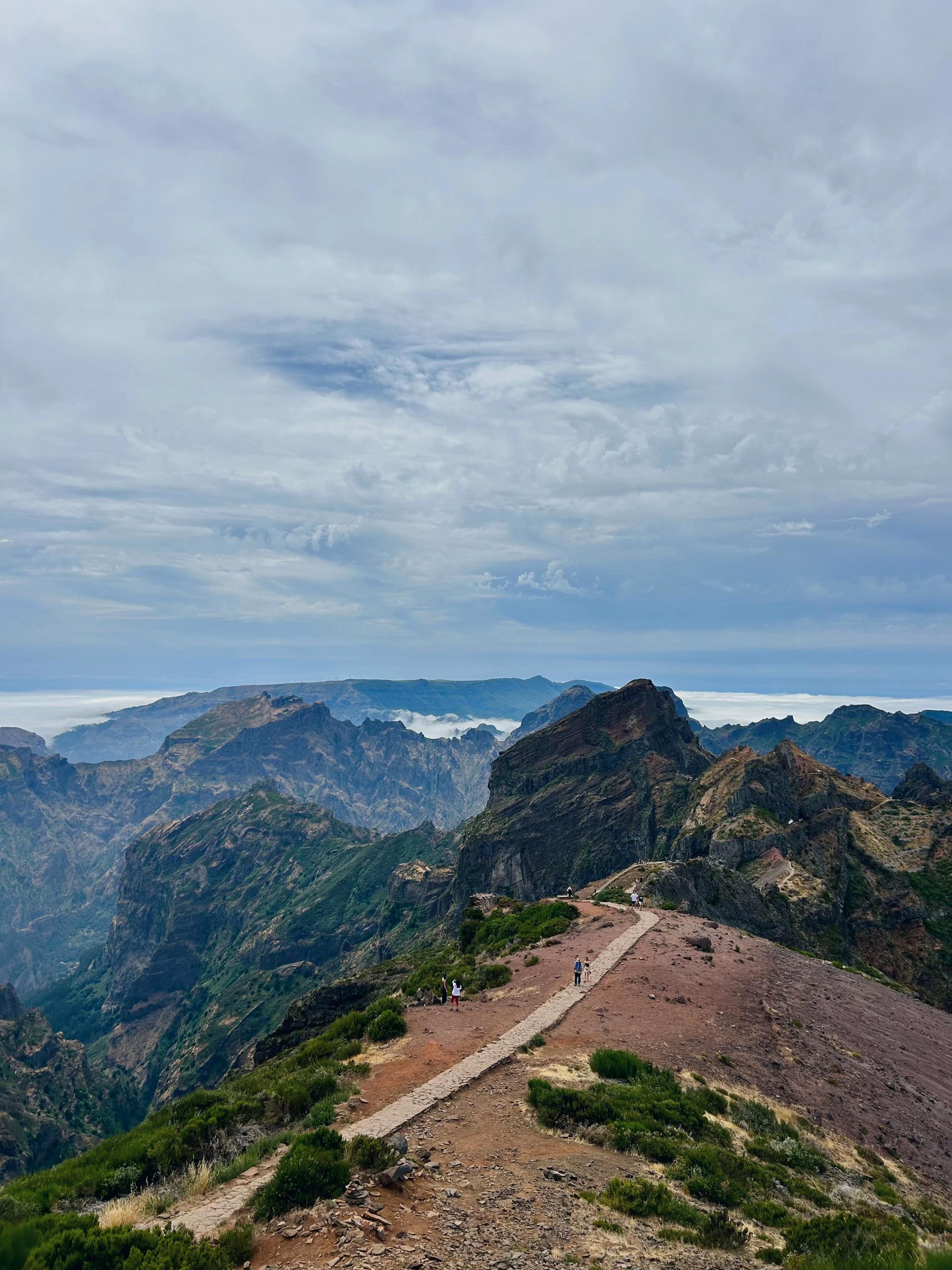 @daniela