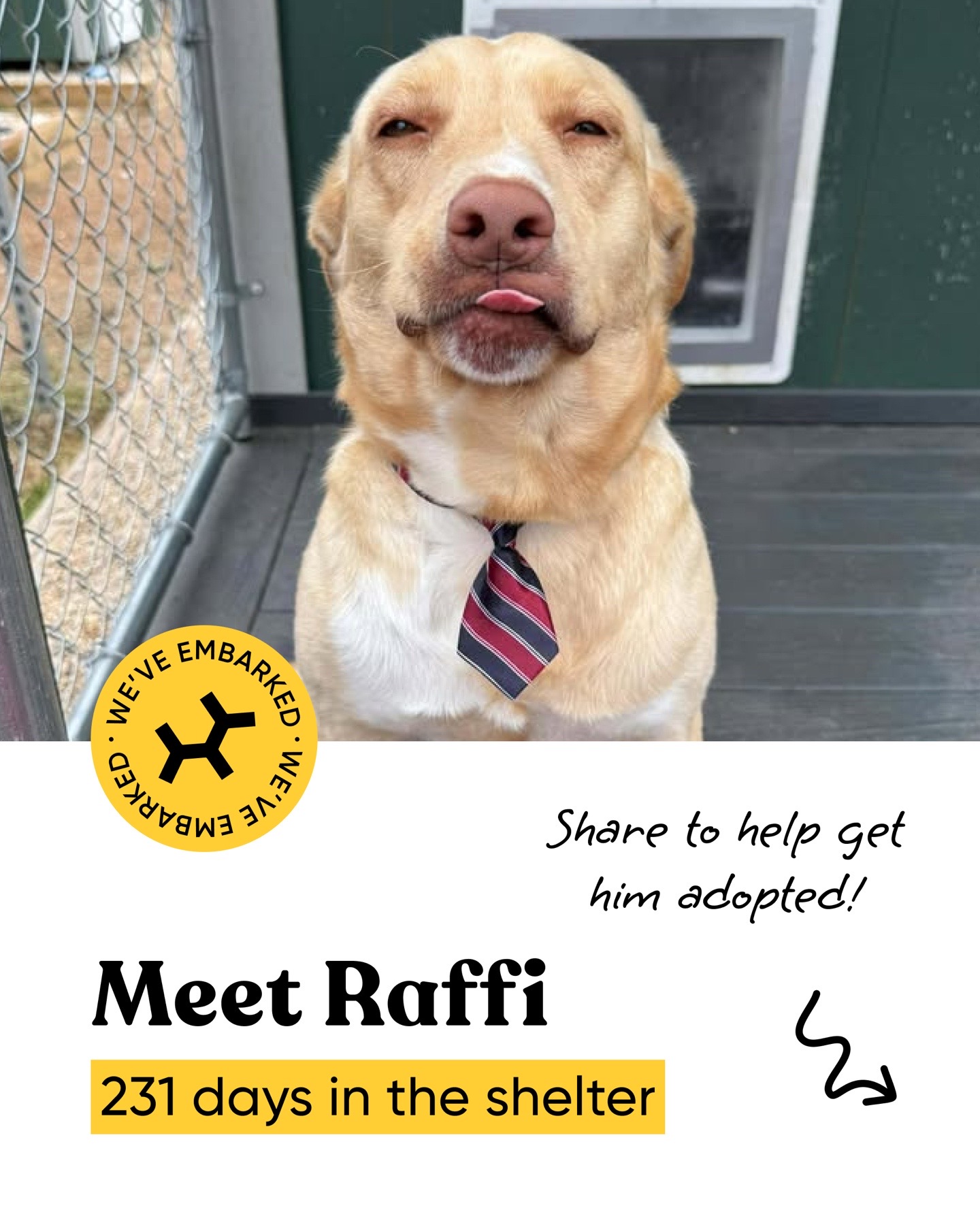 @Embark Vet