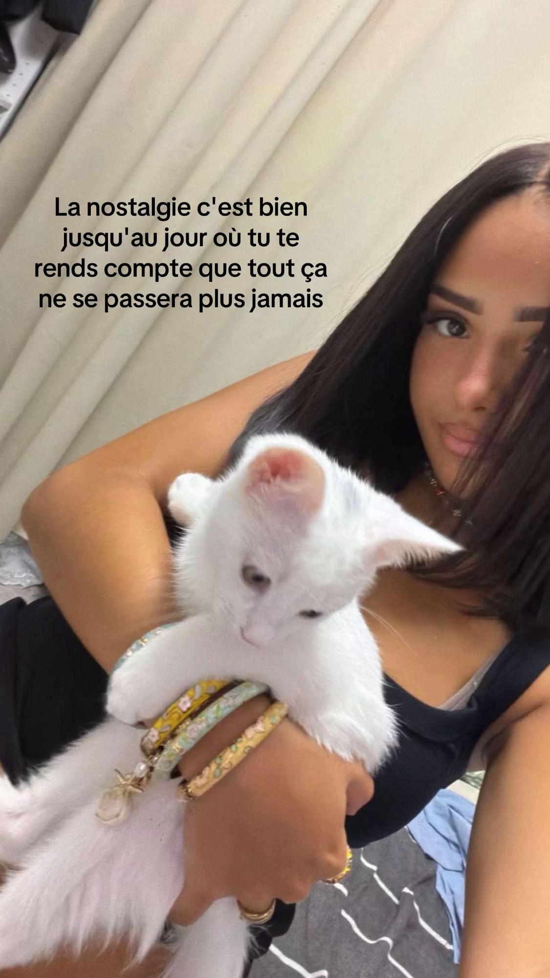 @🇲🇦