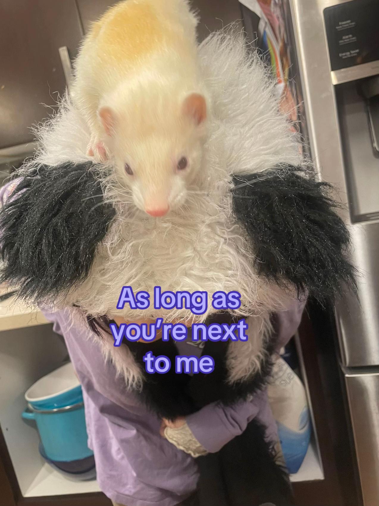 @Fawn