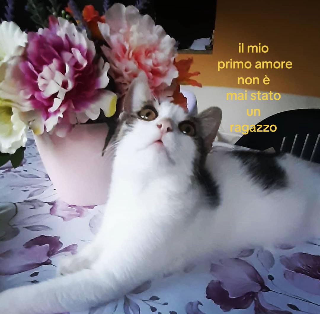 @โ๐ชฝ