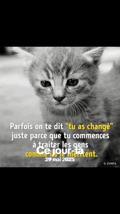 @mignon l’argentier