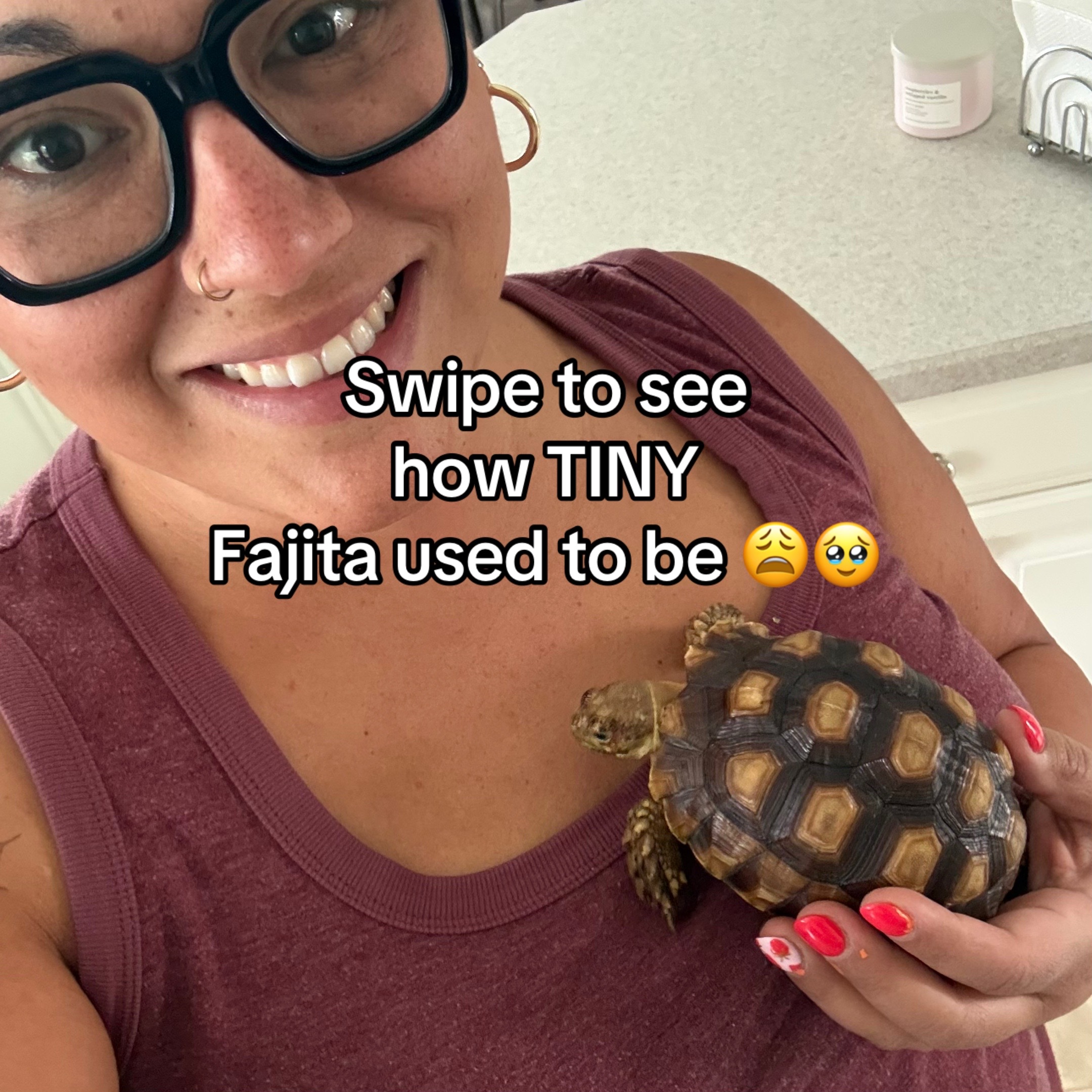 @Fajita 🐢