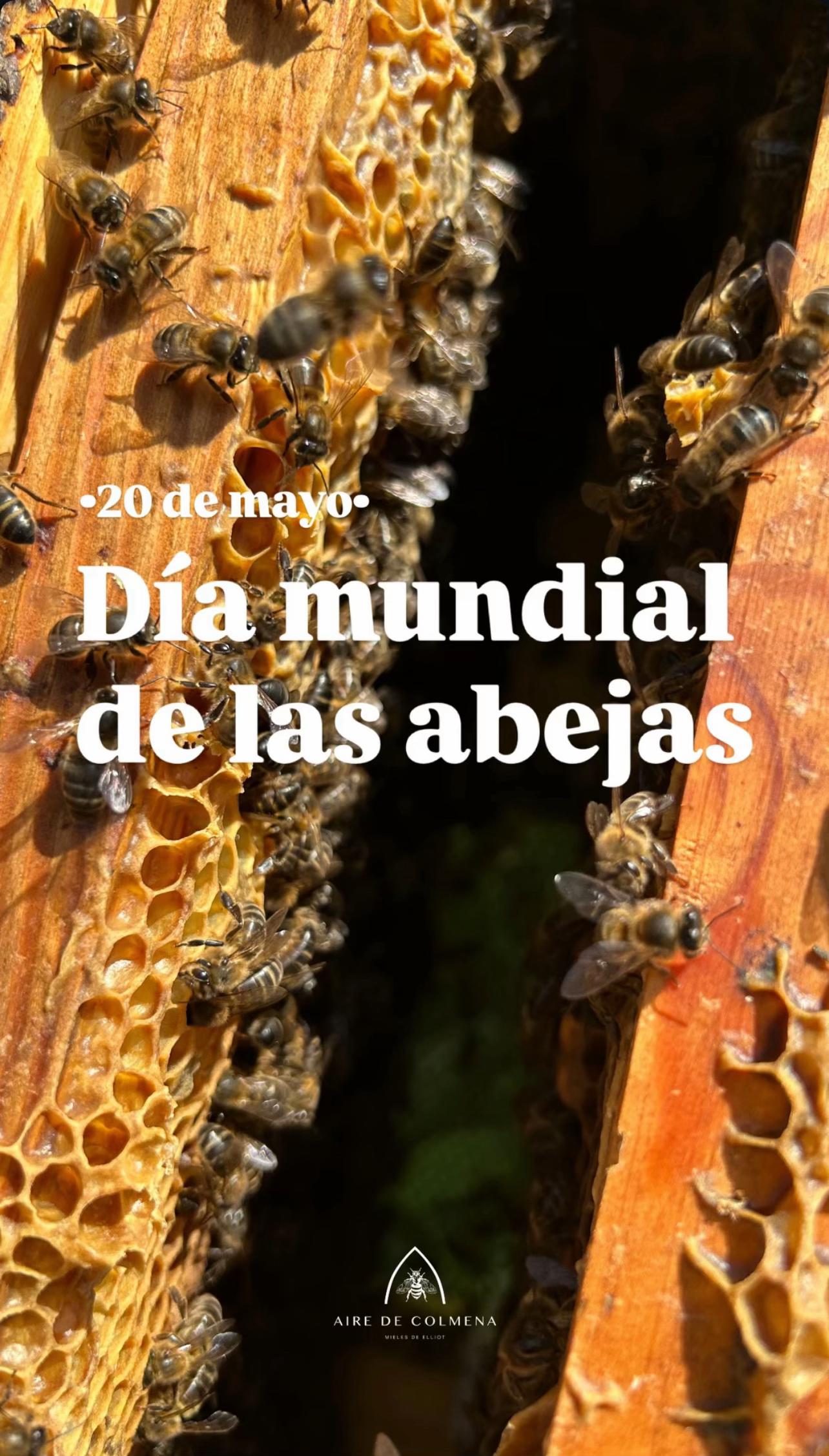 @AIRE DE COLMENA EXTREMADURA