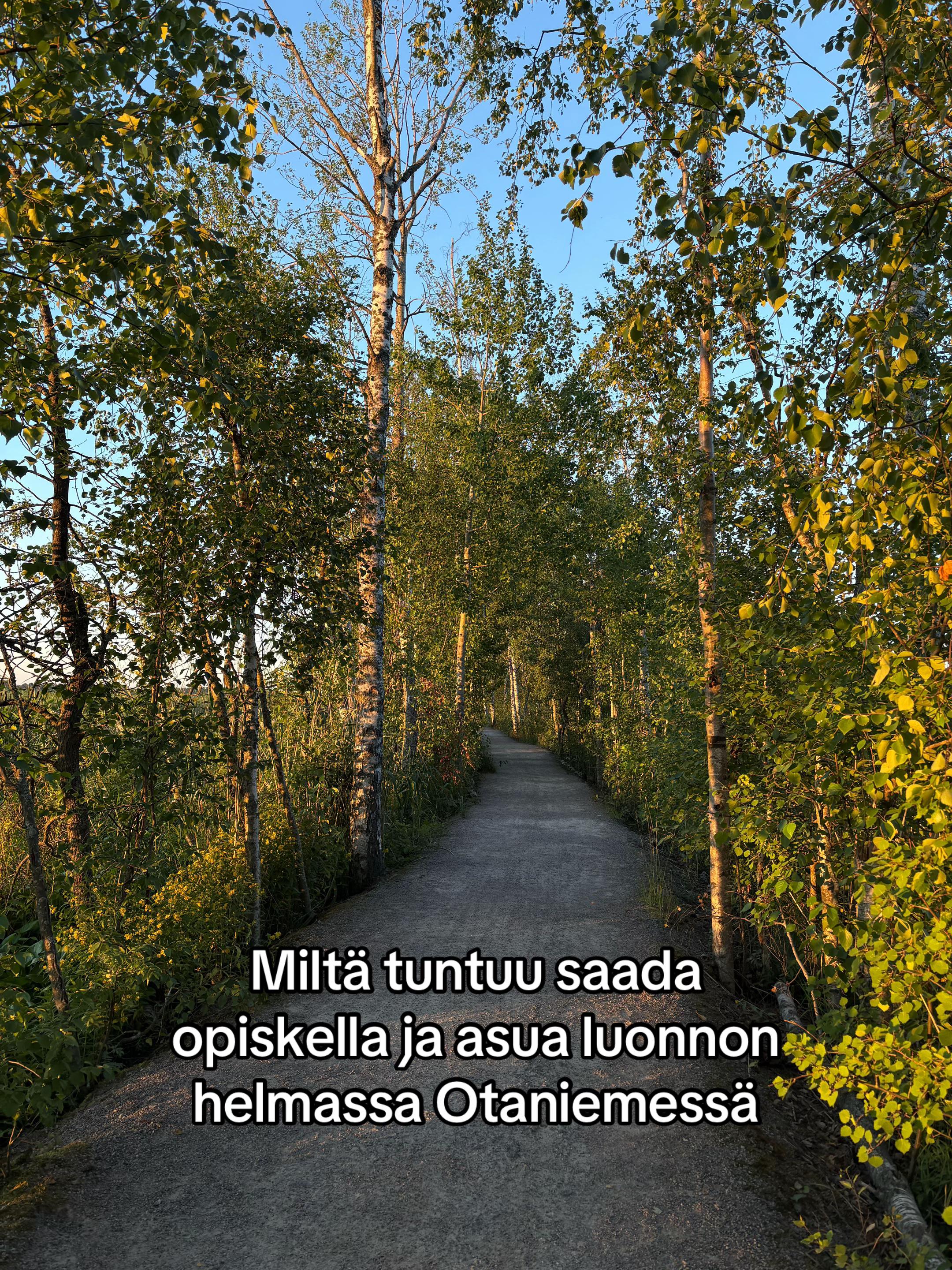 @Aalto University