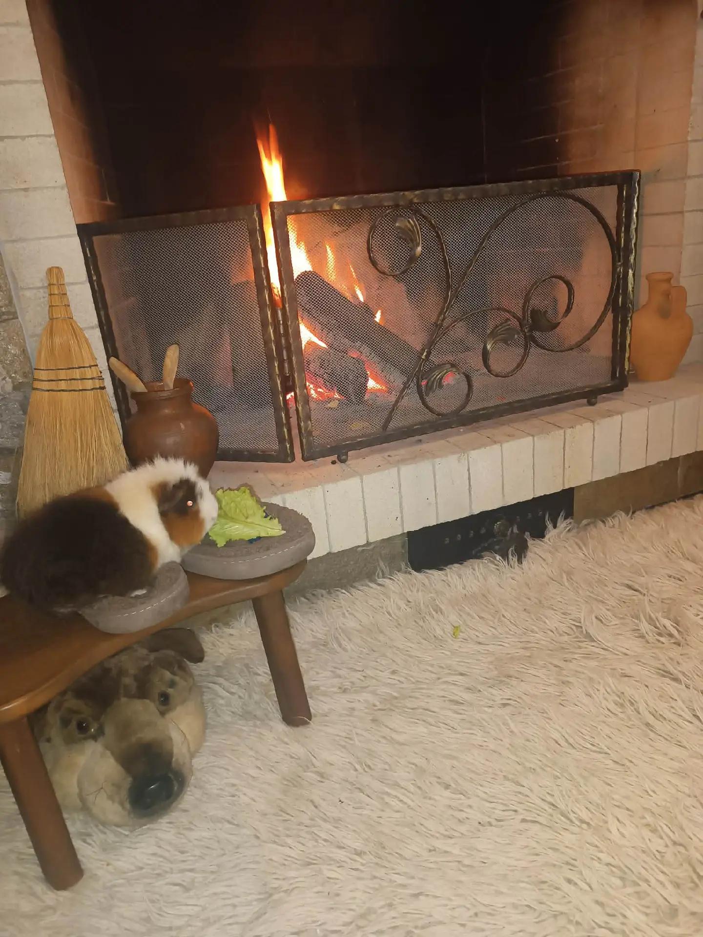 @Г.Пангалов