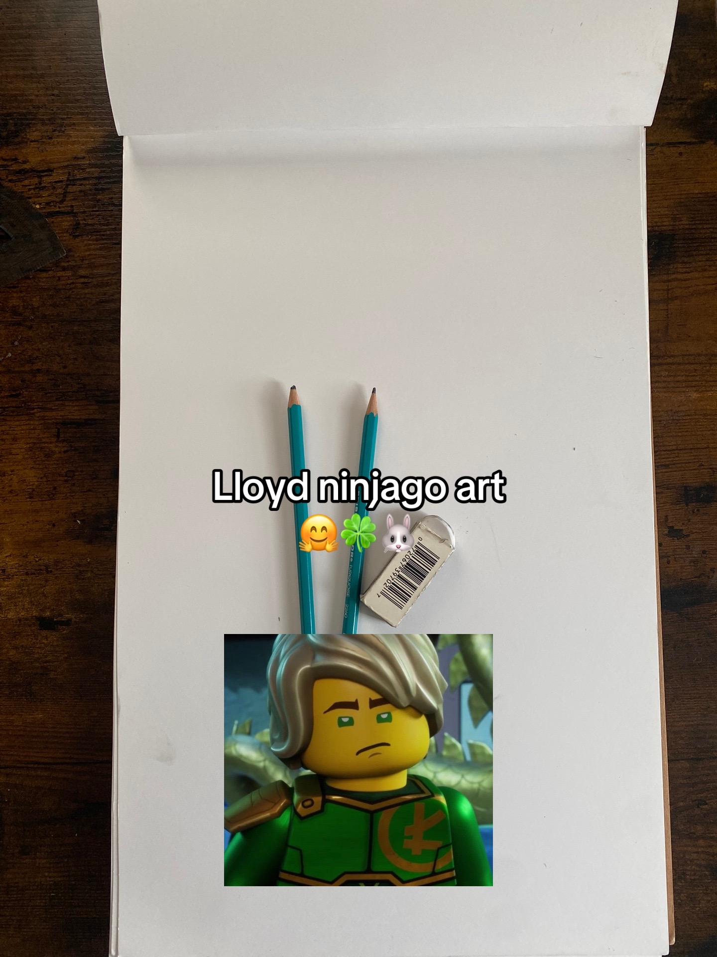 @𓂃 ࣪˖ ִֶָ 𝔄𝔩𝔦𝔠𝔢 ⏱️🐇་༘࿐
