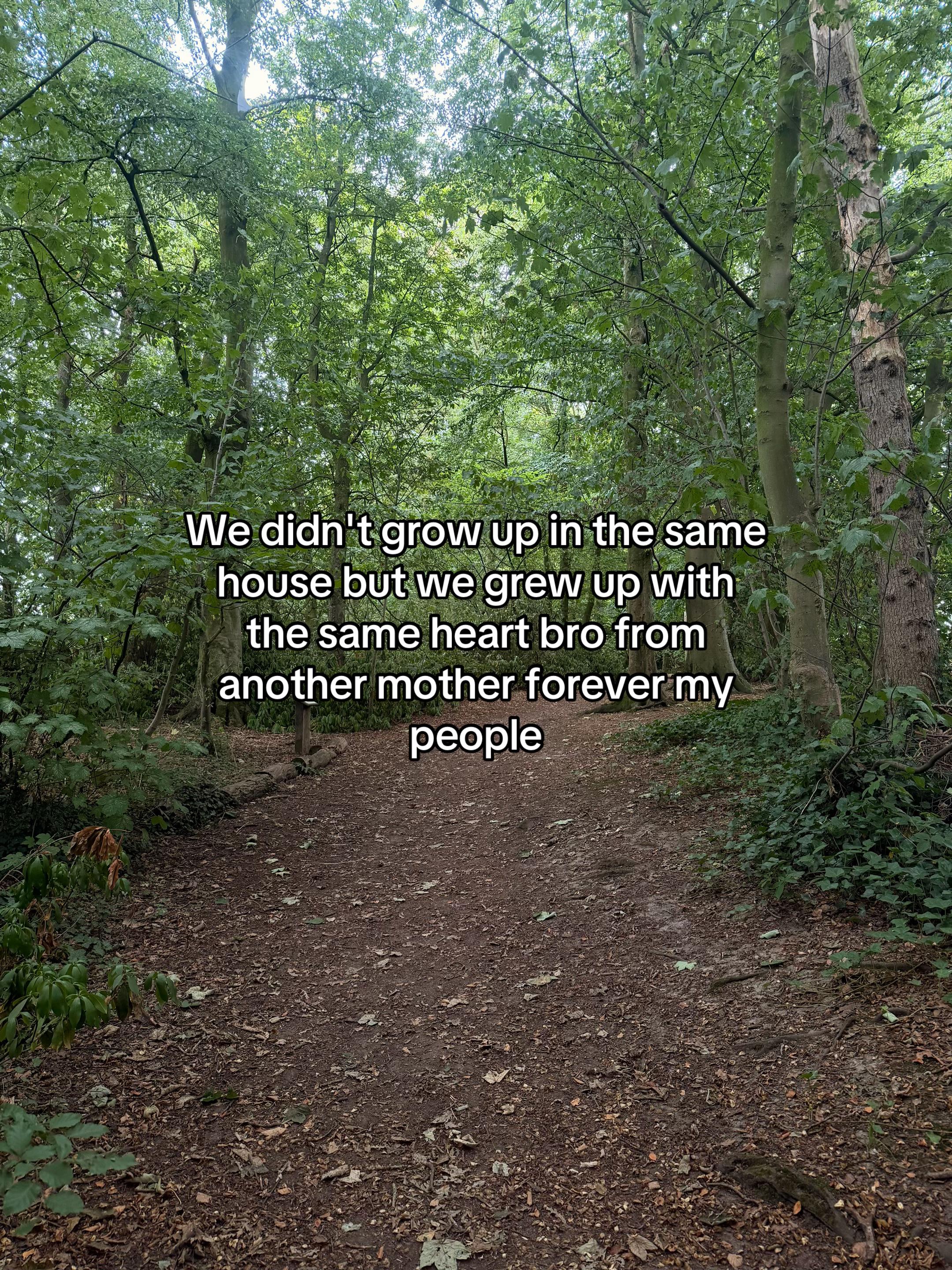 @TheQuoteHub🪫