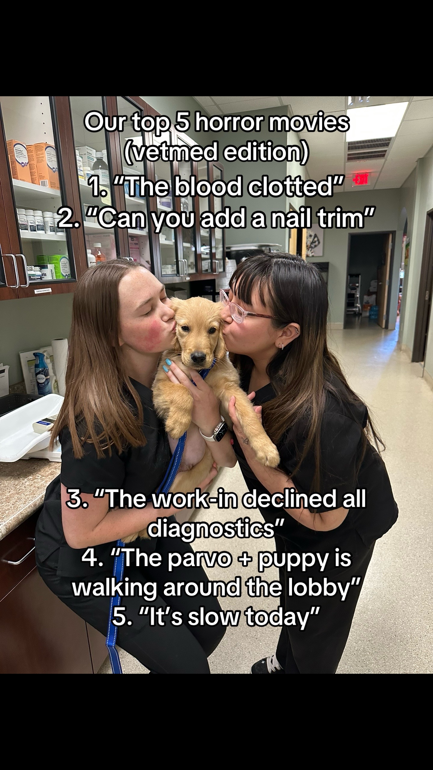 @Dreaming Summit Animal Hosp