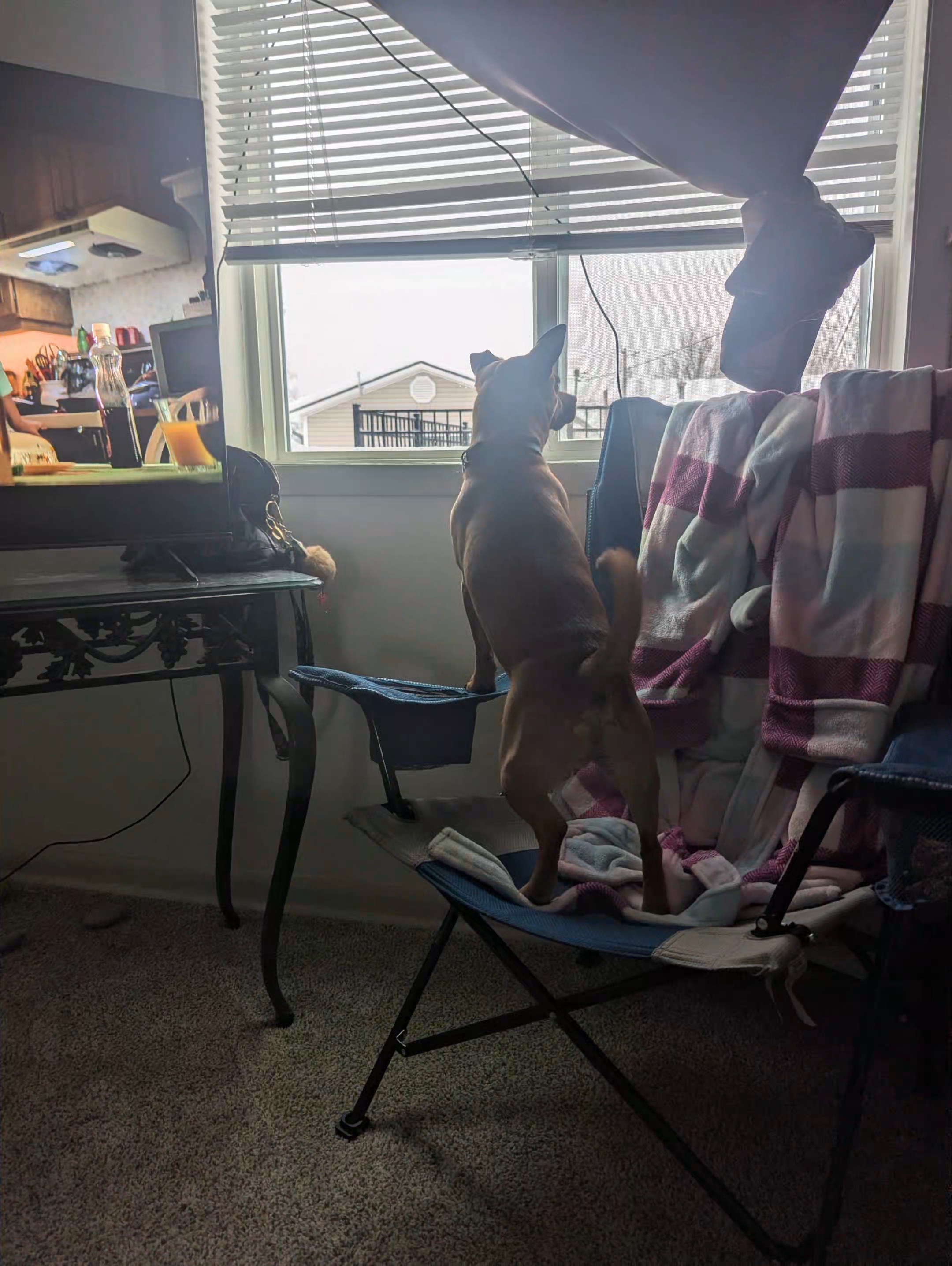 @shugabear420