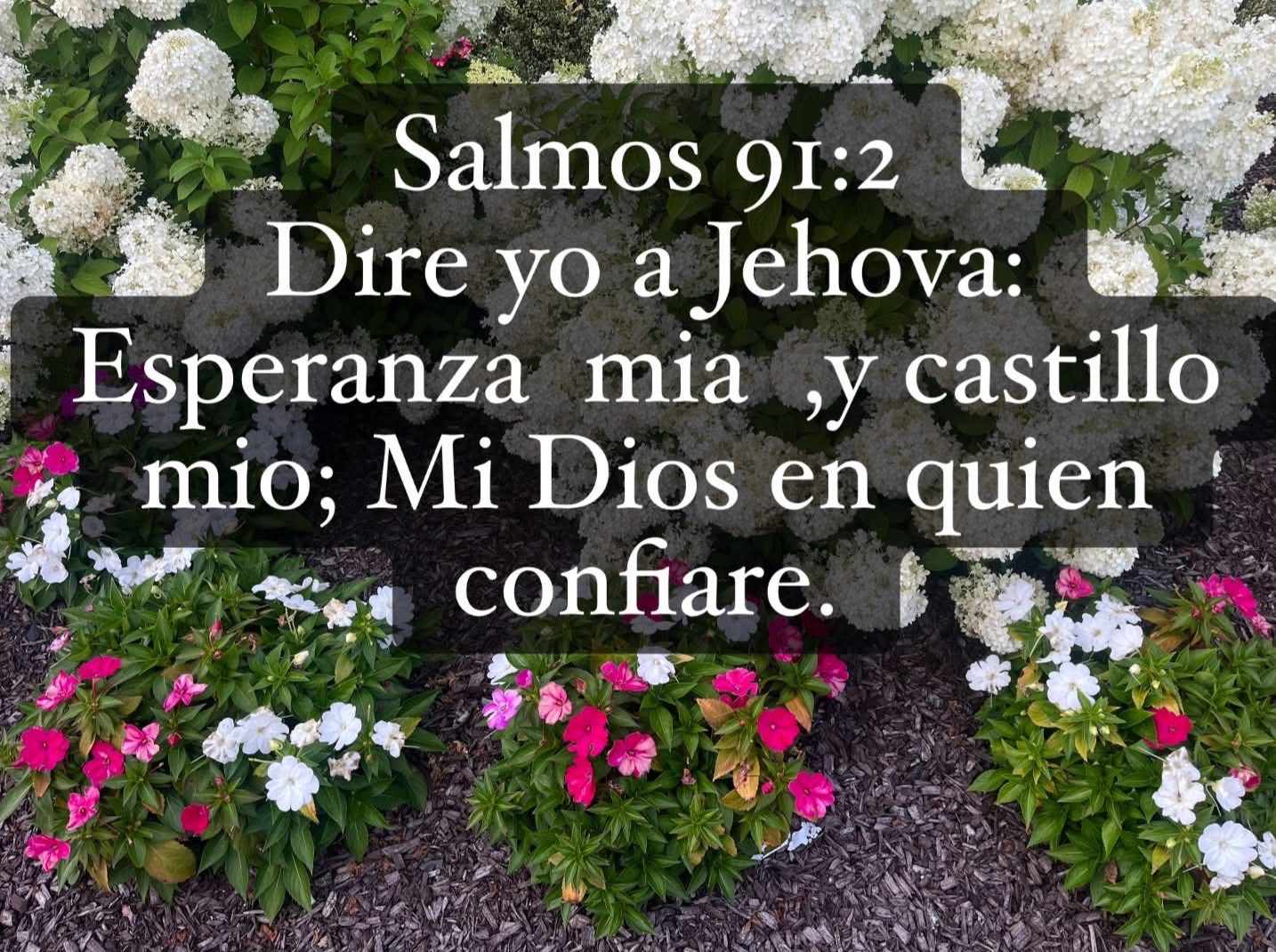 @Gisela