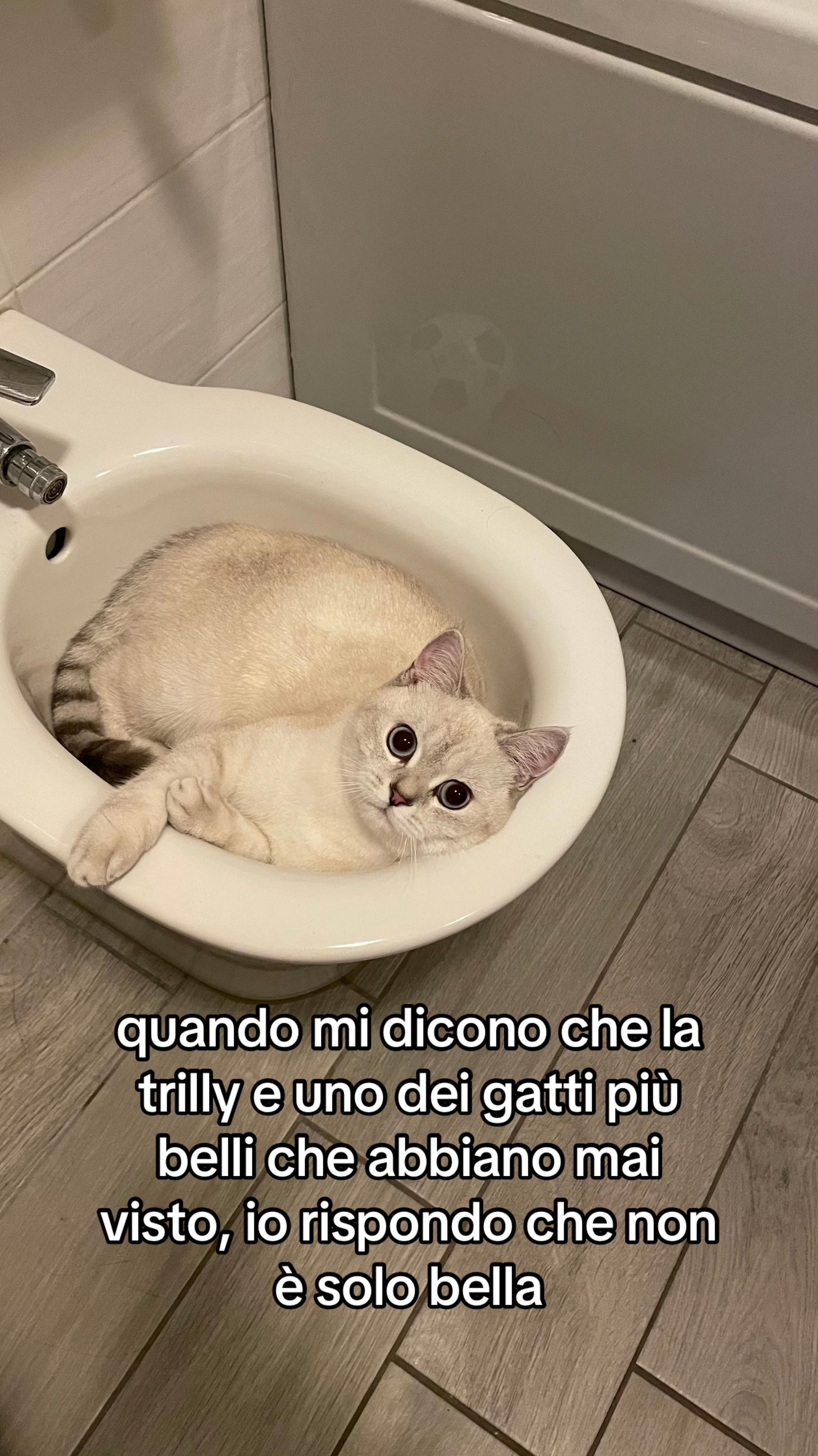 @sof