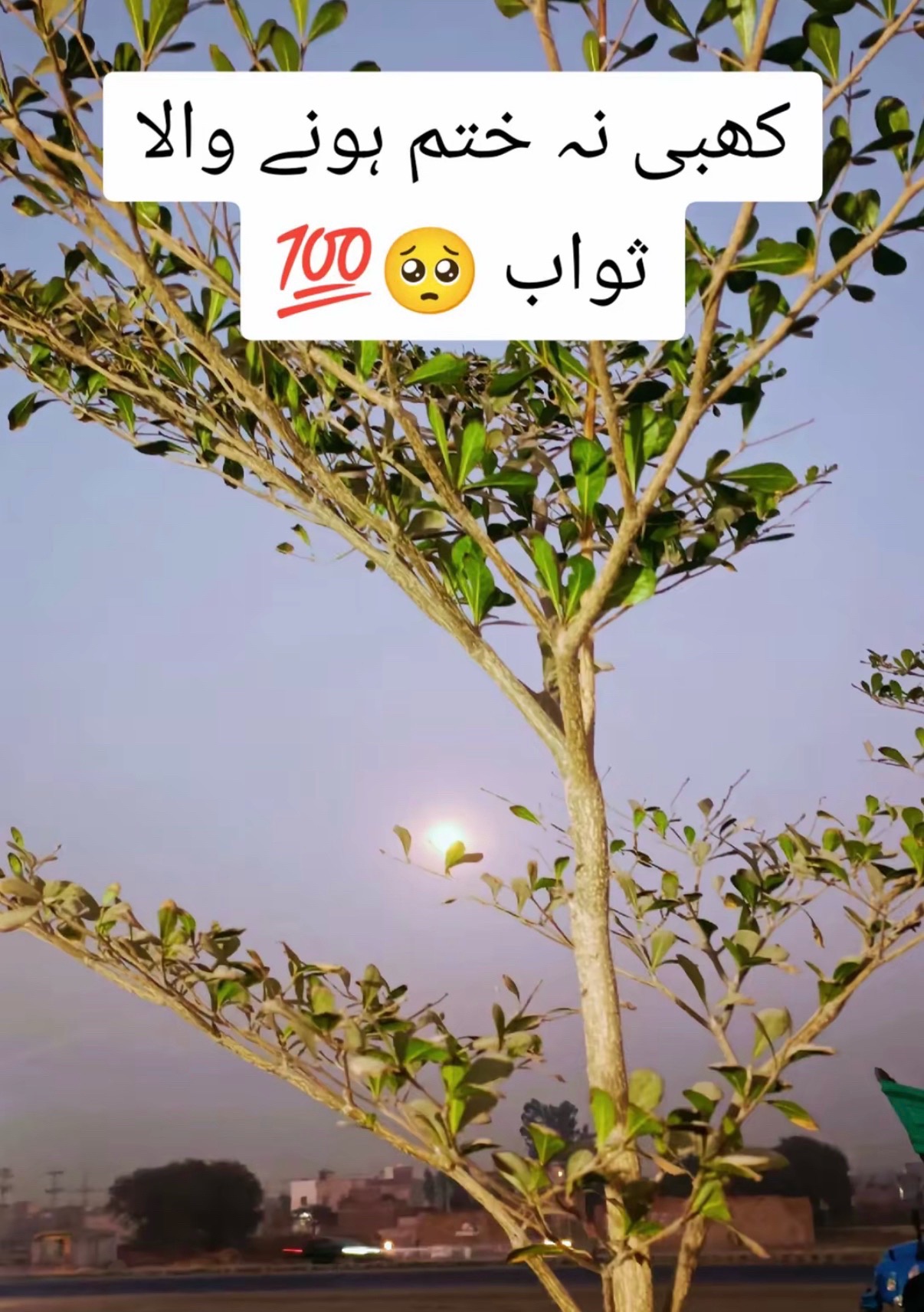 @UK khan 💕