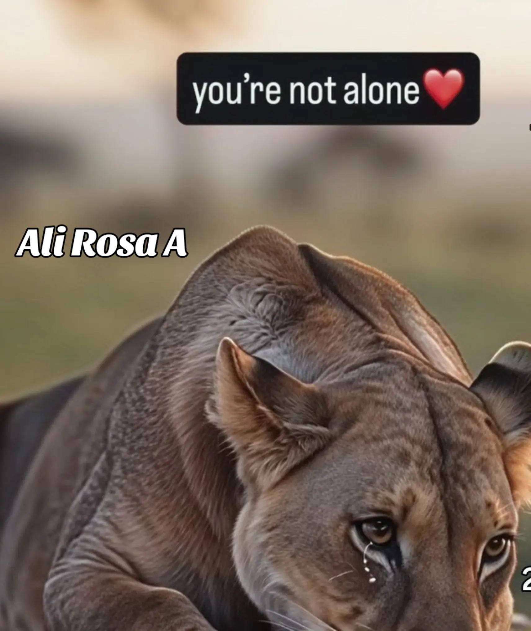 @Ali Pompova