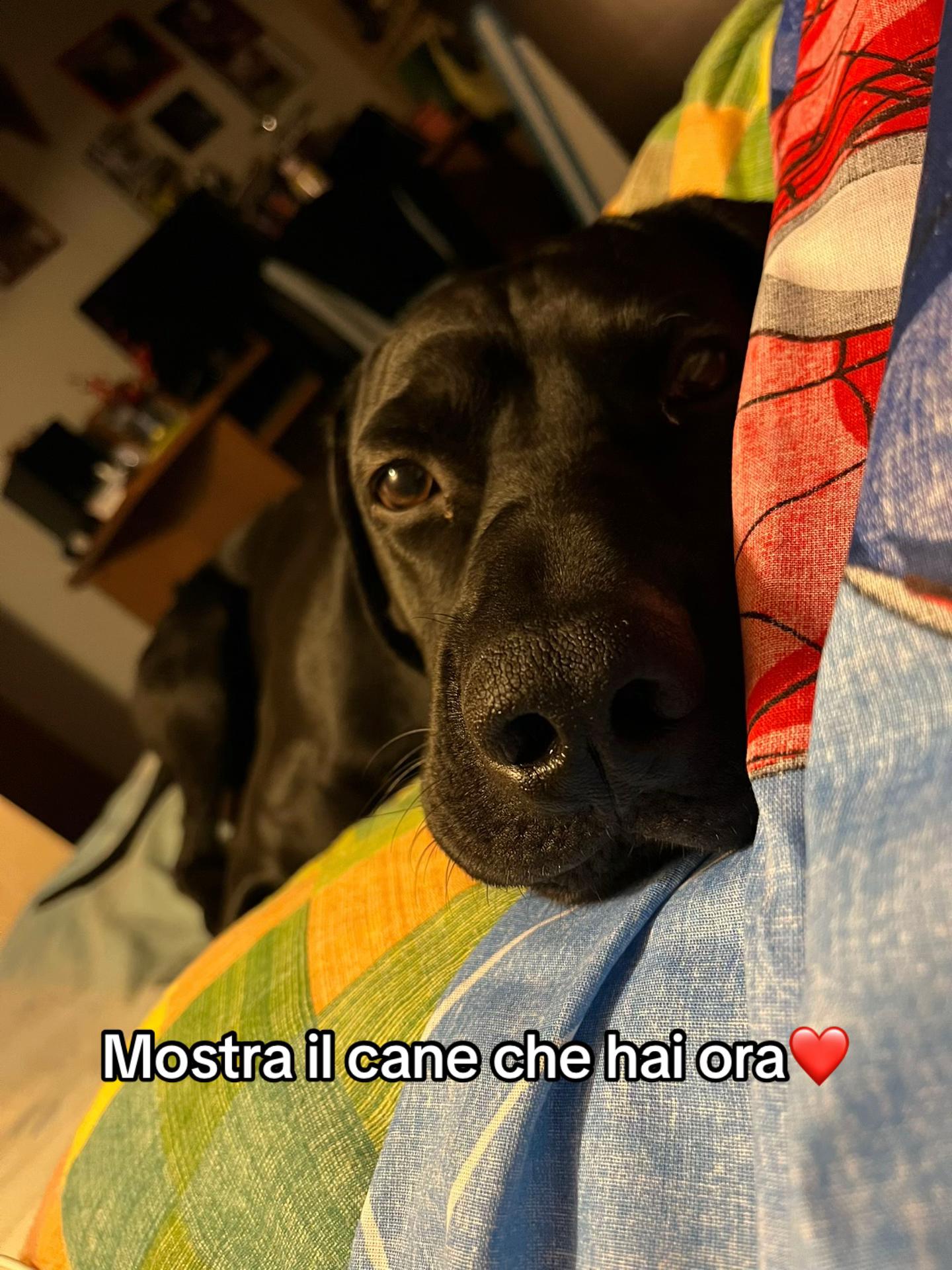 @fra.morana
