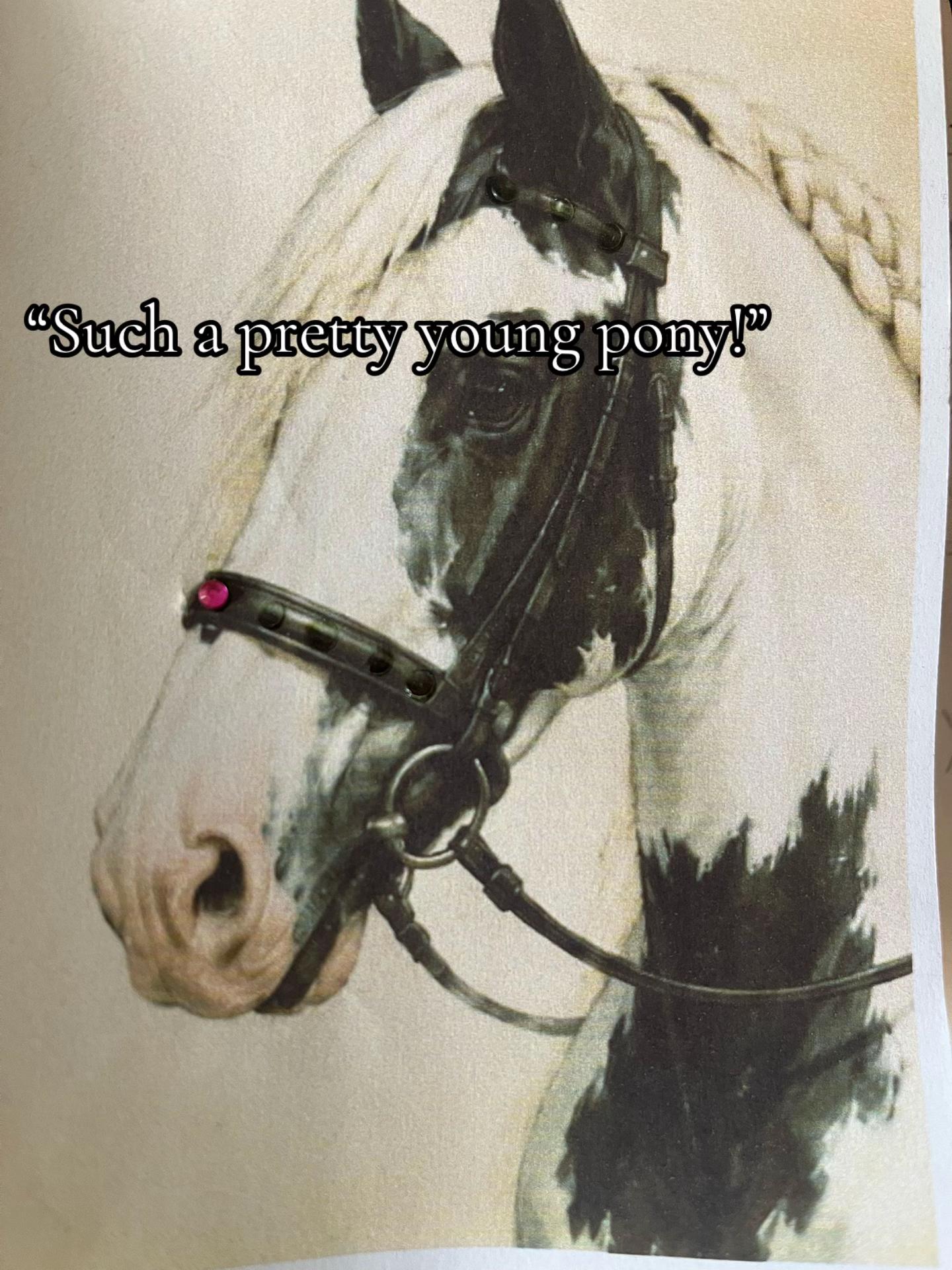 @Emilyy🐎🐴💗
