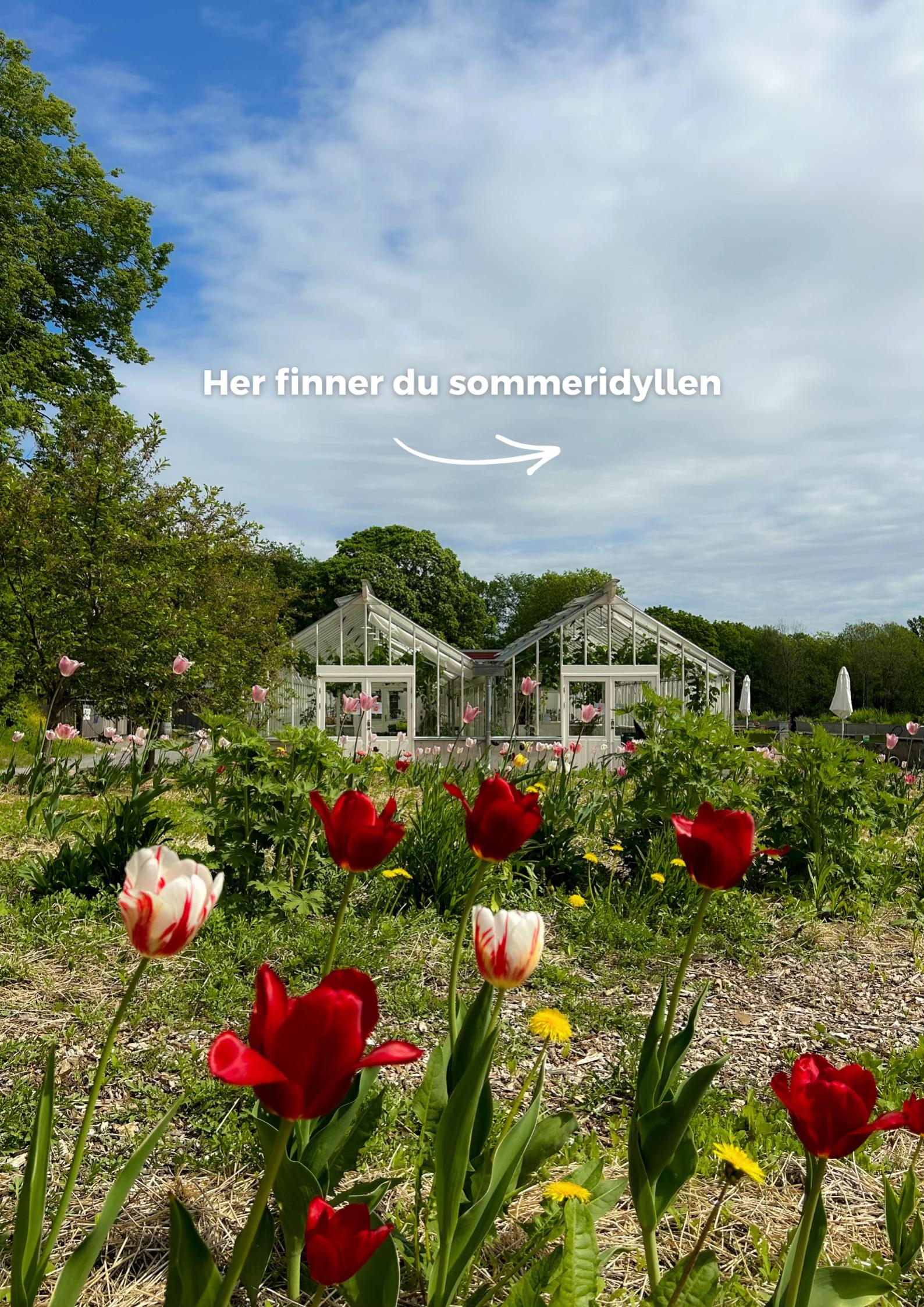 @Mer av Oslo