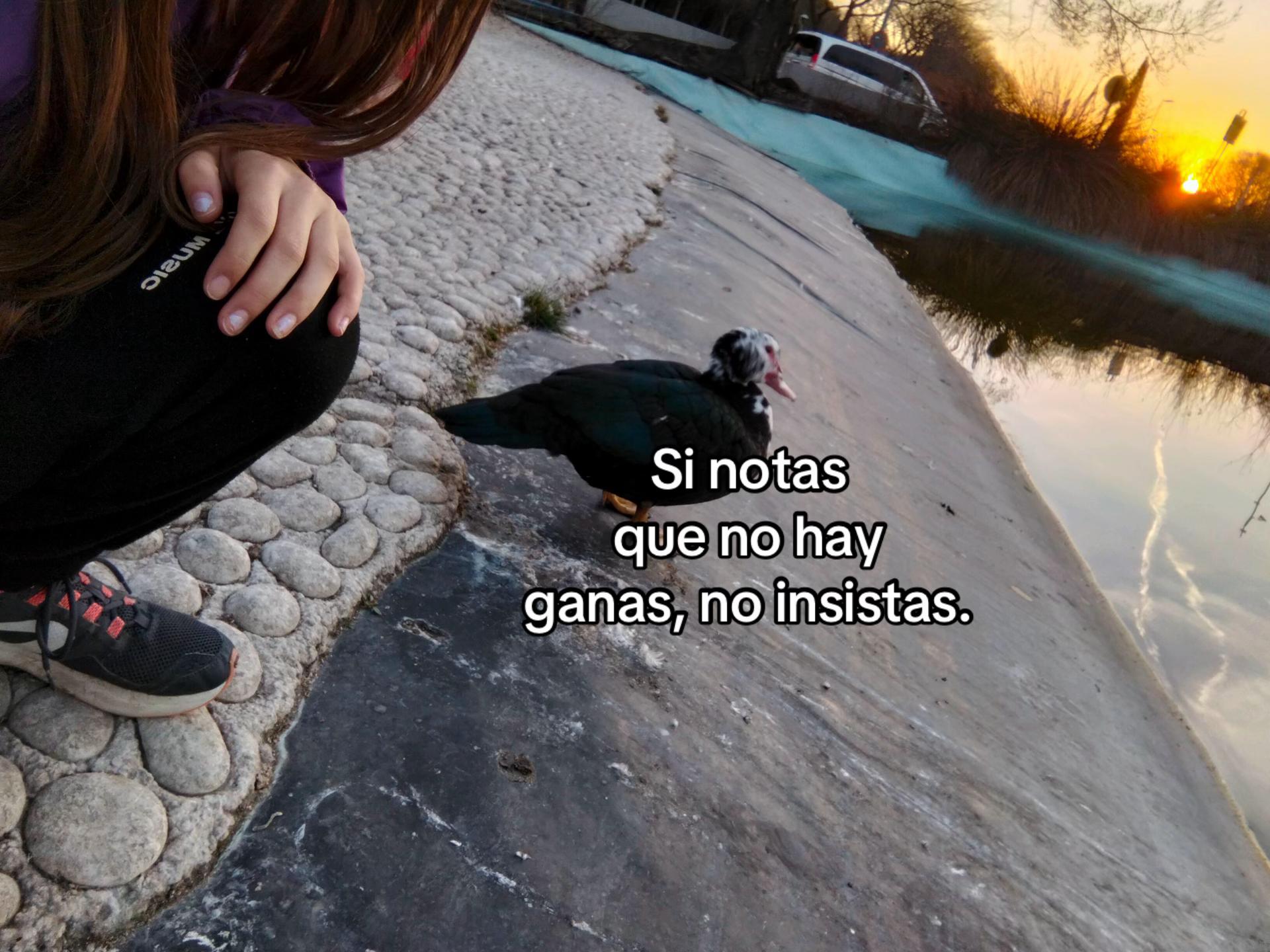 @sara_06