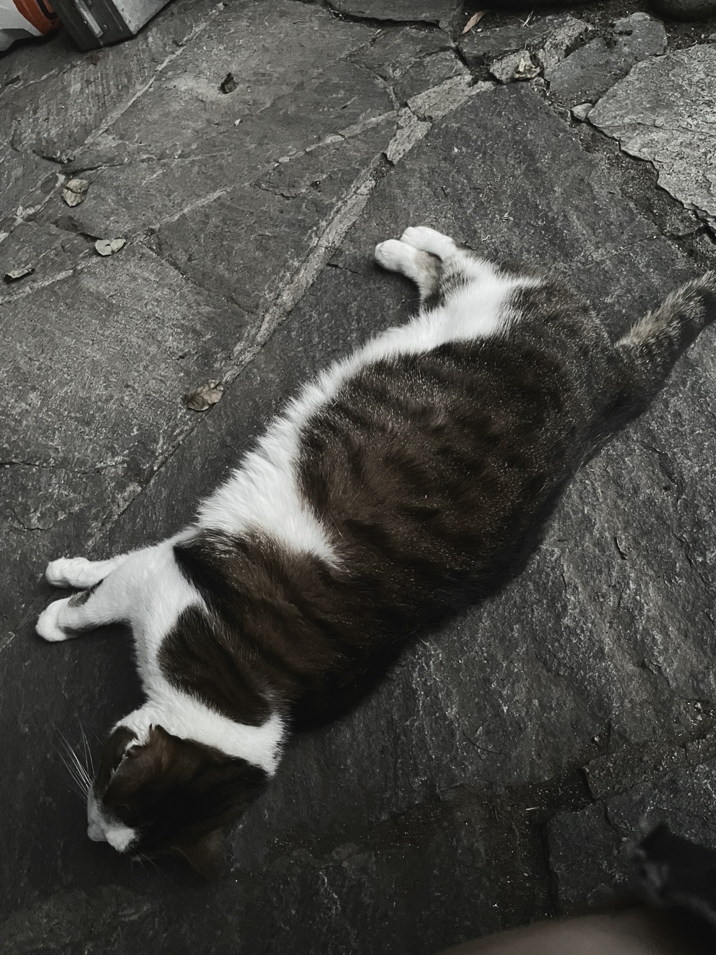 @𝐨𝐨𝐧𝐚