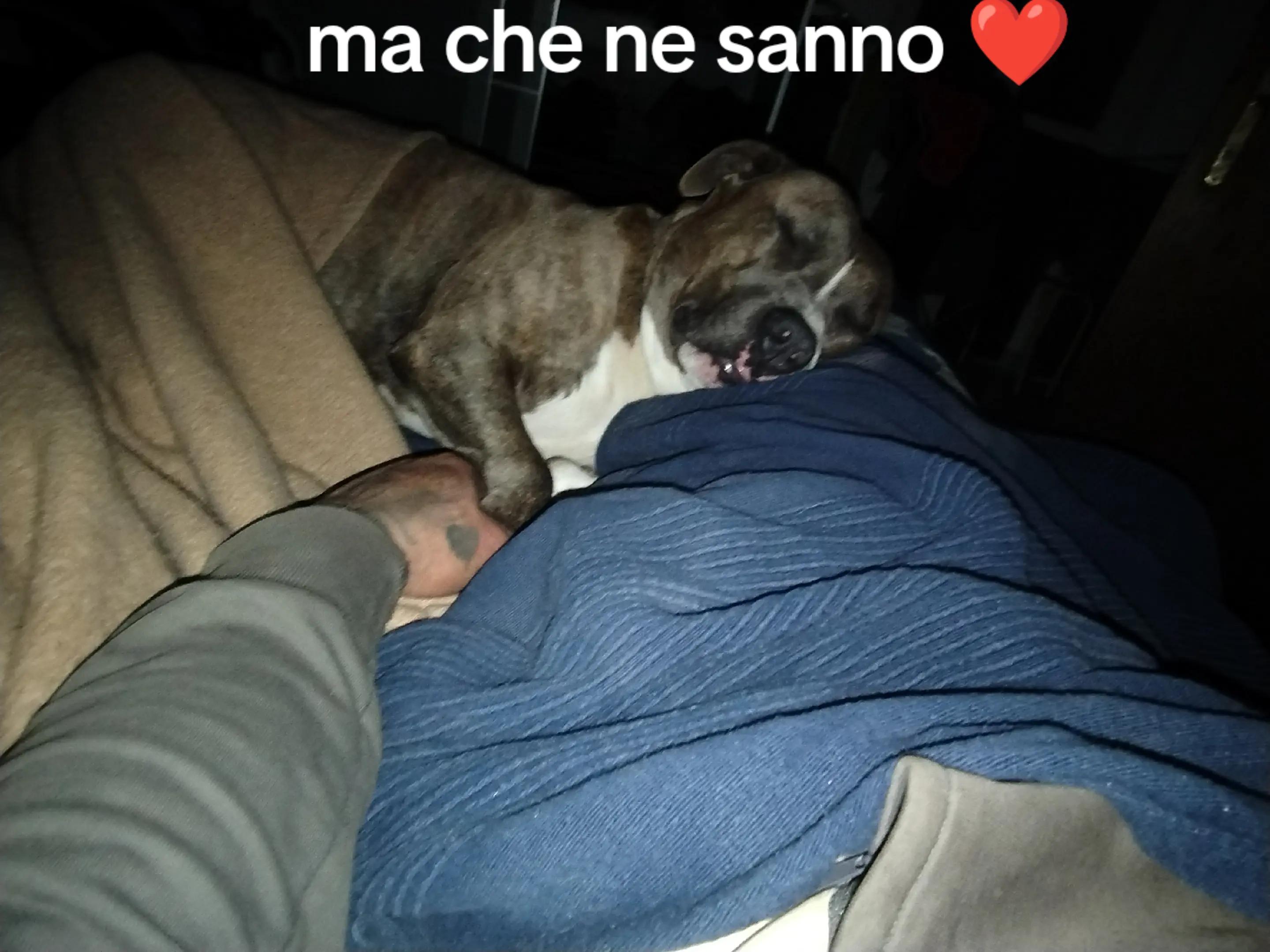 @Alessio Carpenti