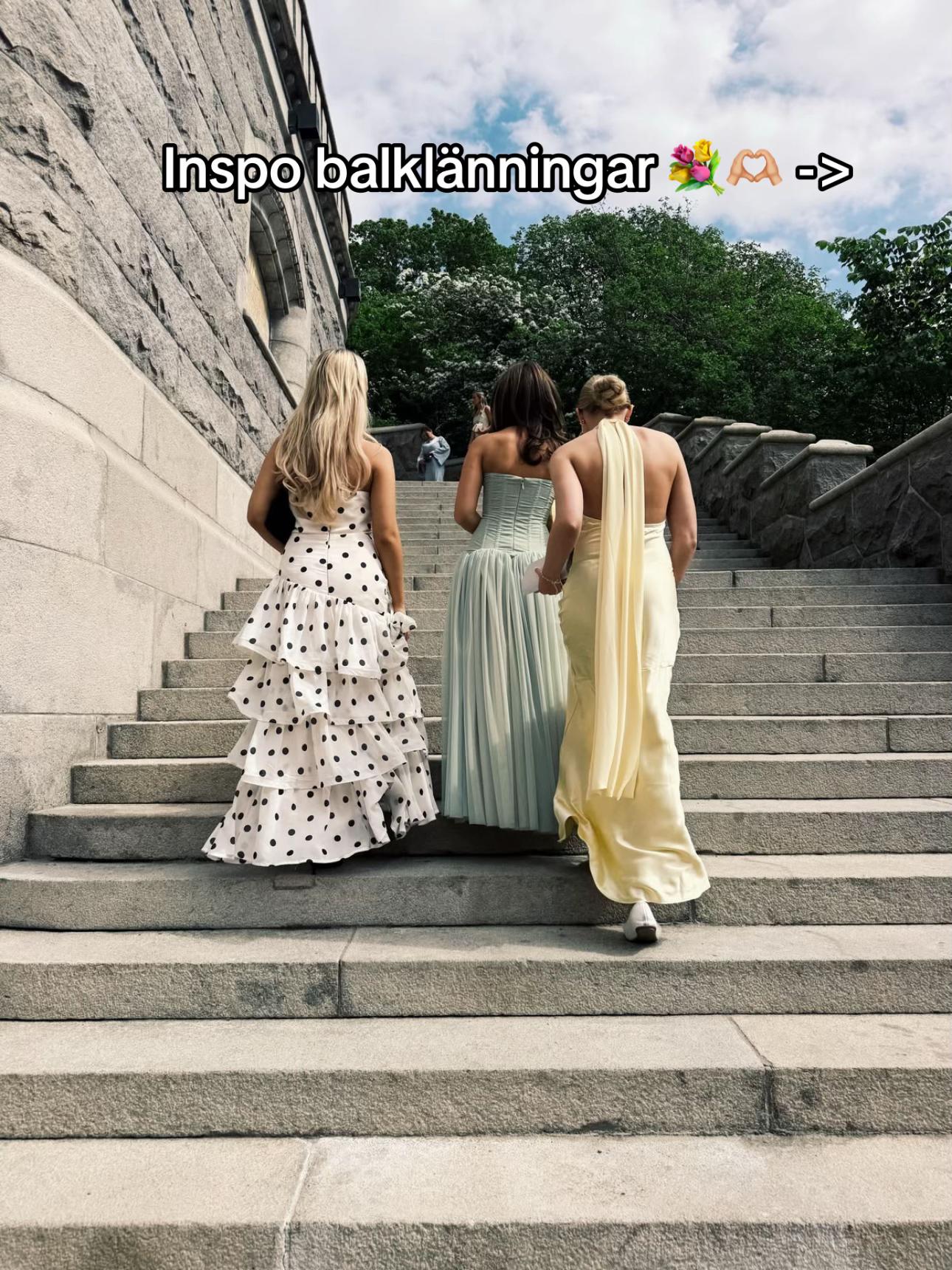 @C.L. Seifert Sverige 🎓