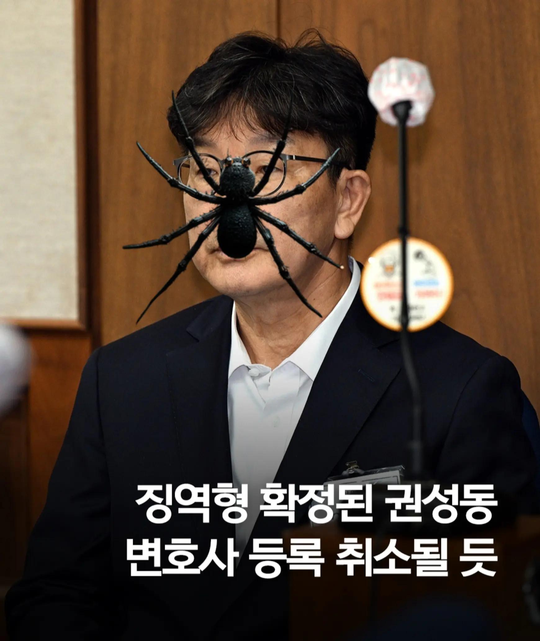 @🌺시라소니[본]🌺