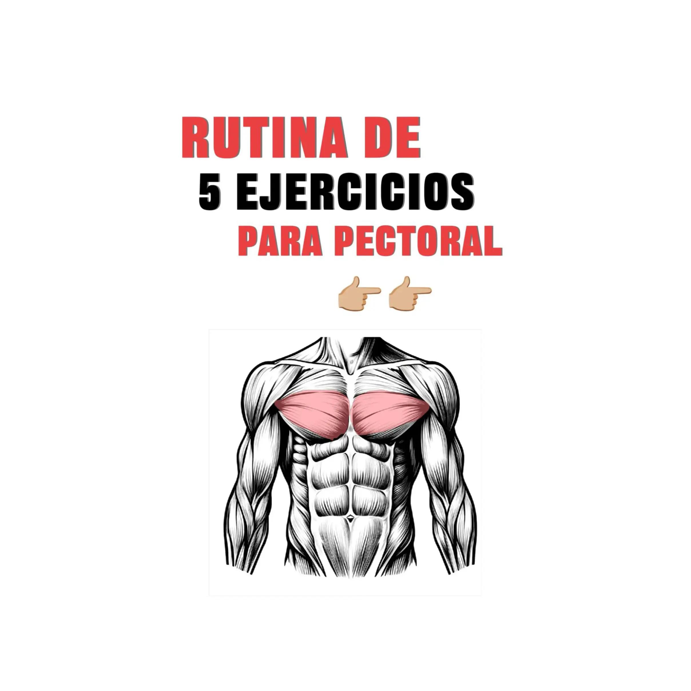@FitnessRZ 🧬