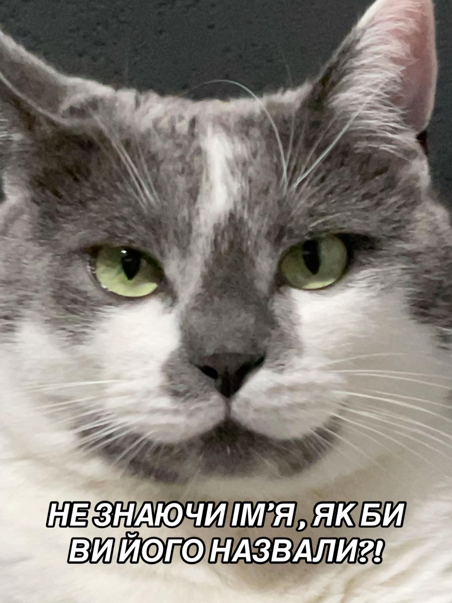 @DAVA