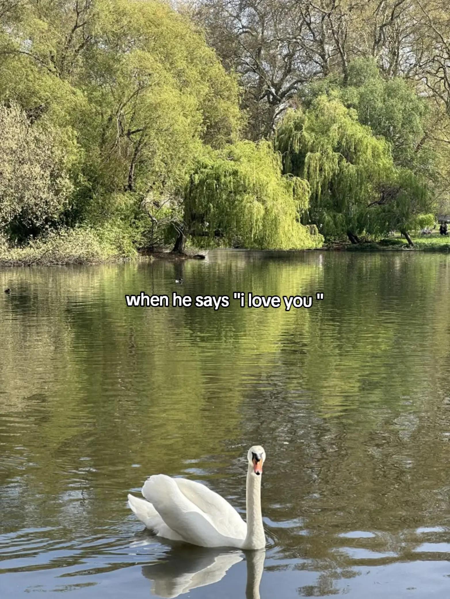 @chuu