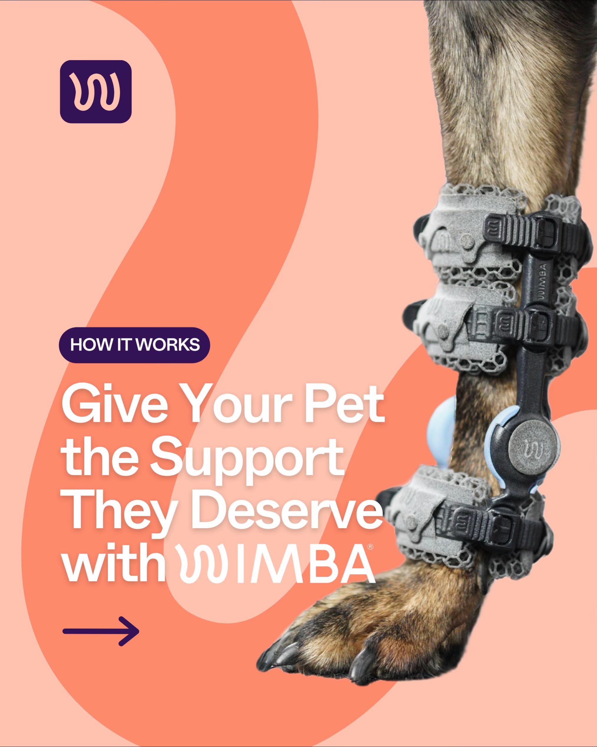 @WIMBA: Pet Orthoses