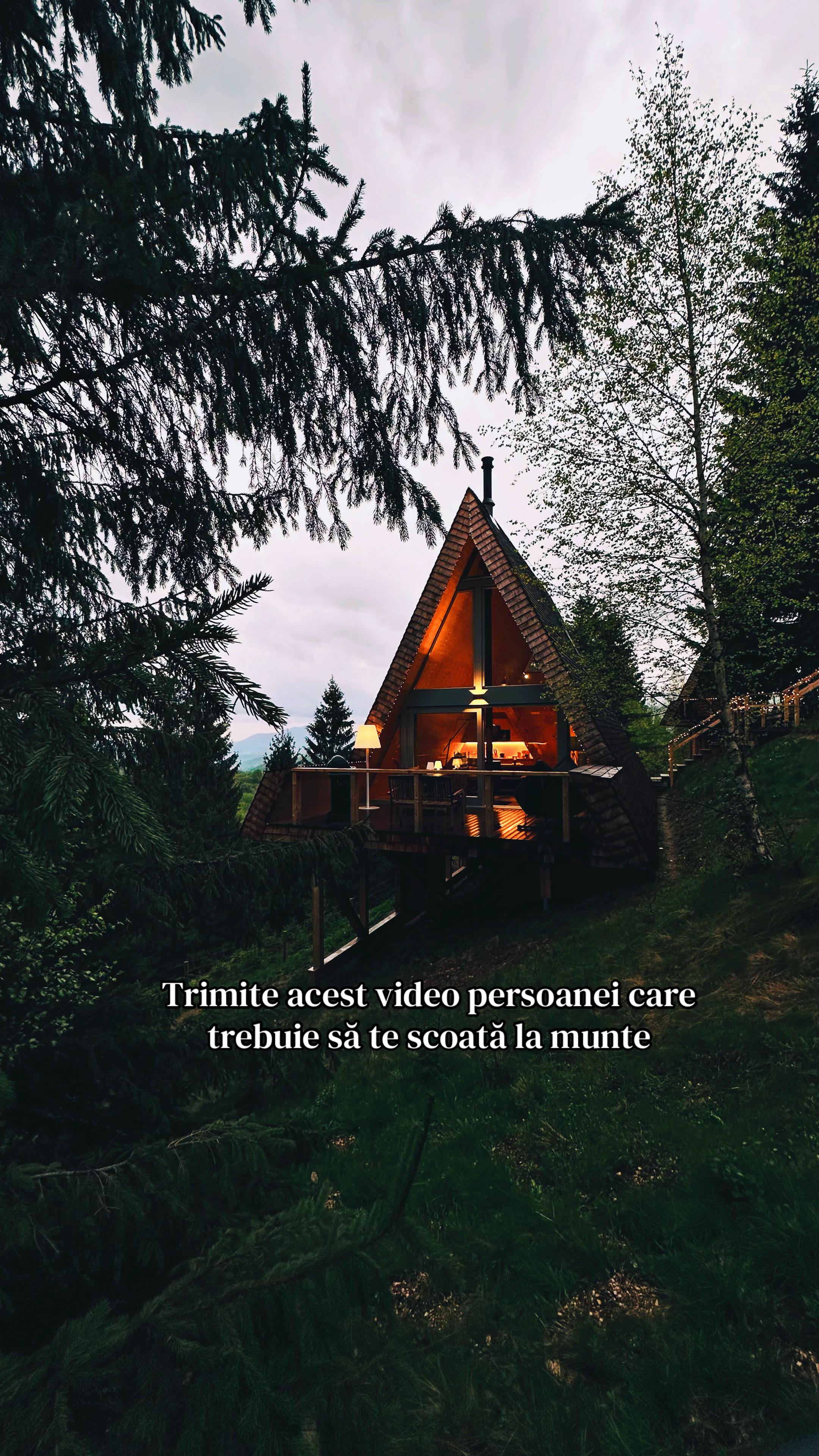 @Strajerii Verzi