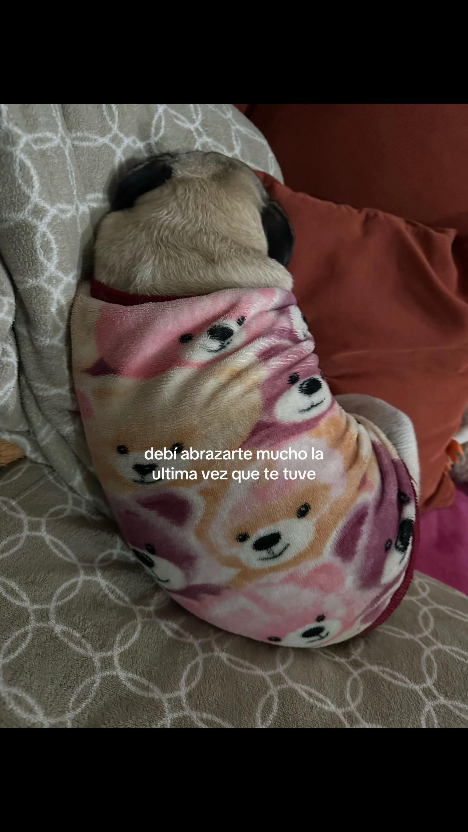 @piyi