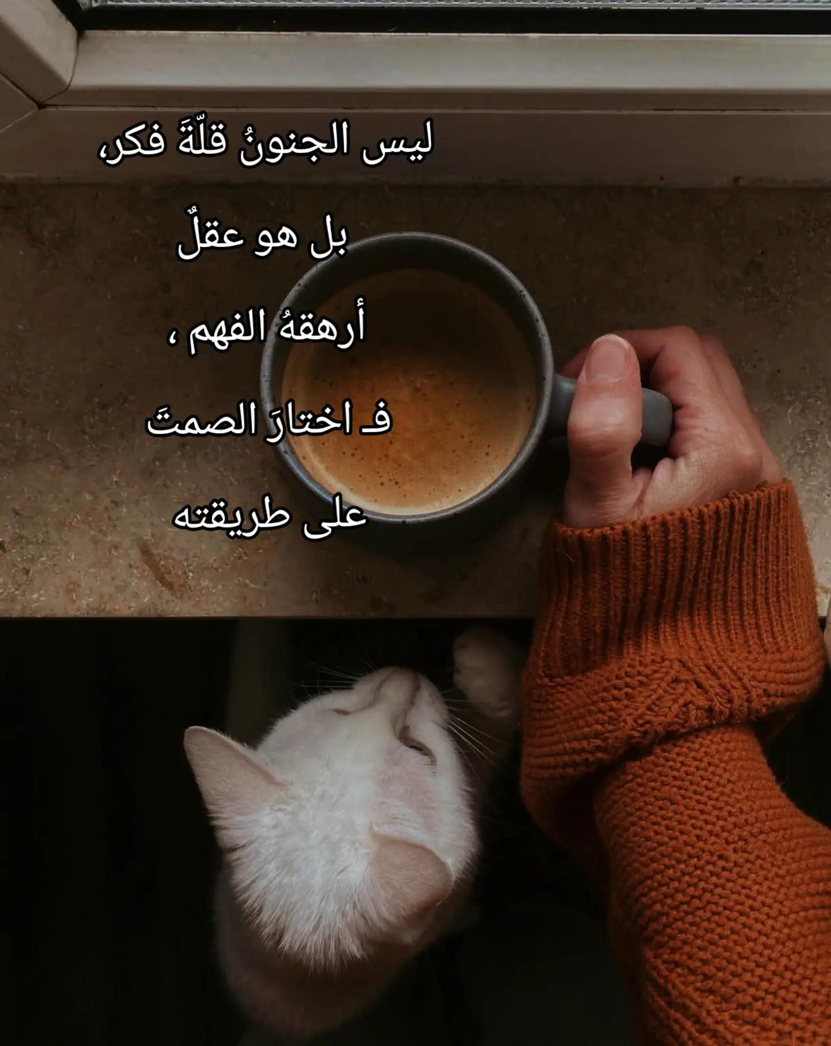 @🌬شِبيهة الريح@