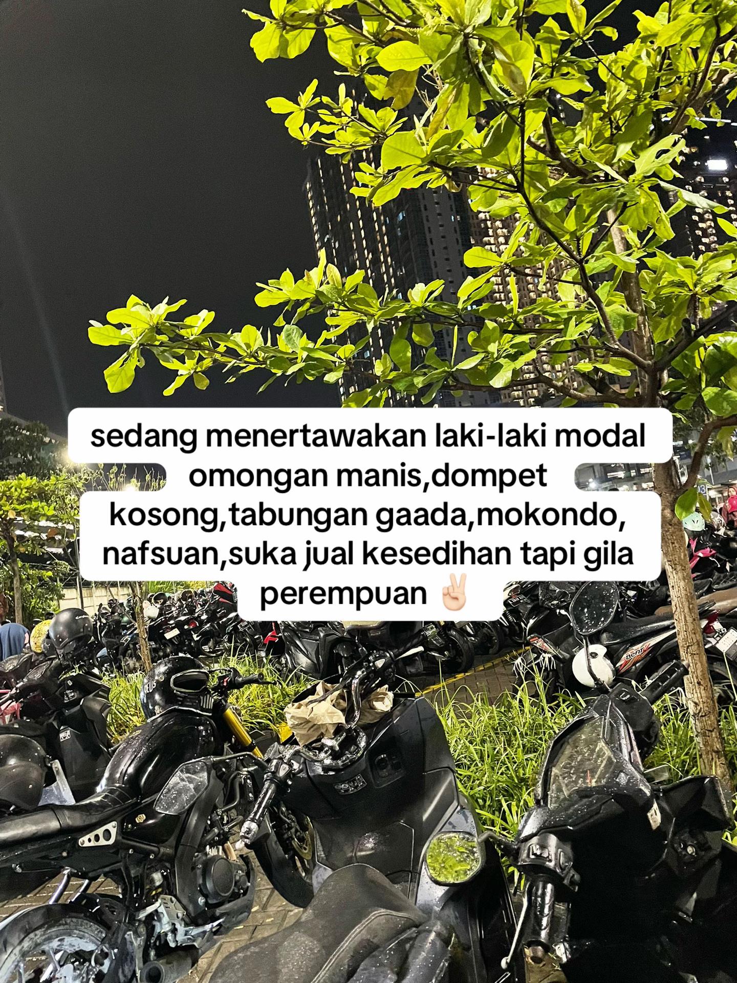 @˚⋆𐙚。indri putri𖦹.ᡣ𐭩˚˚