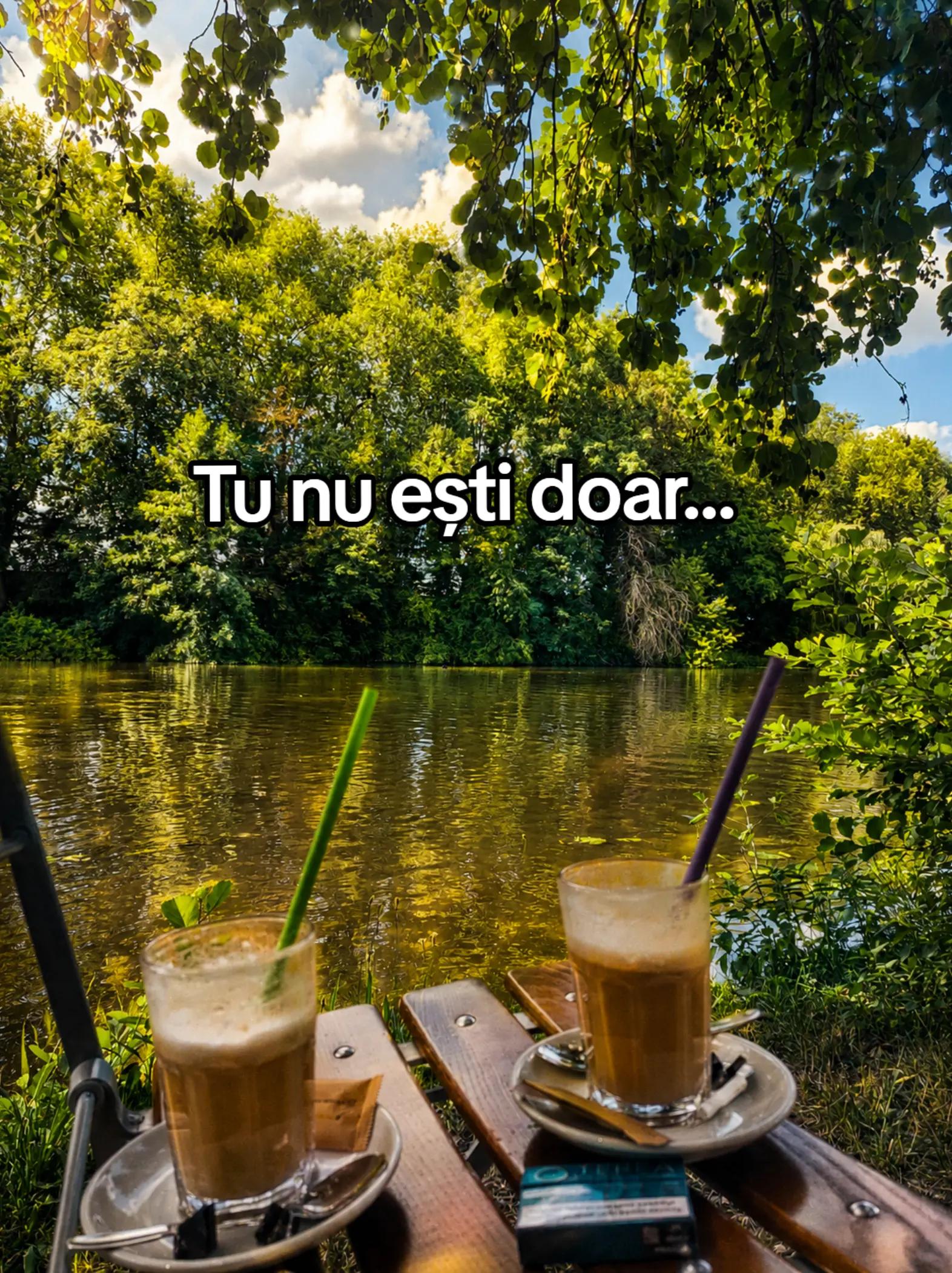 @💥GAVRILĂ TRAIAN💥