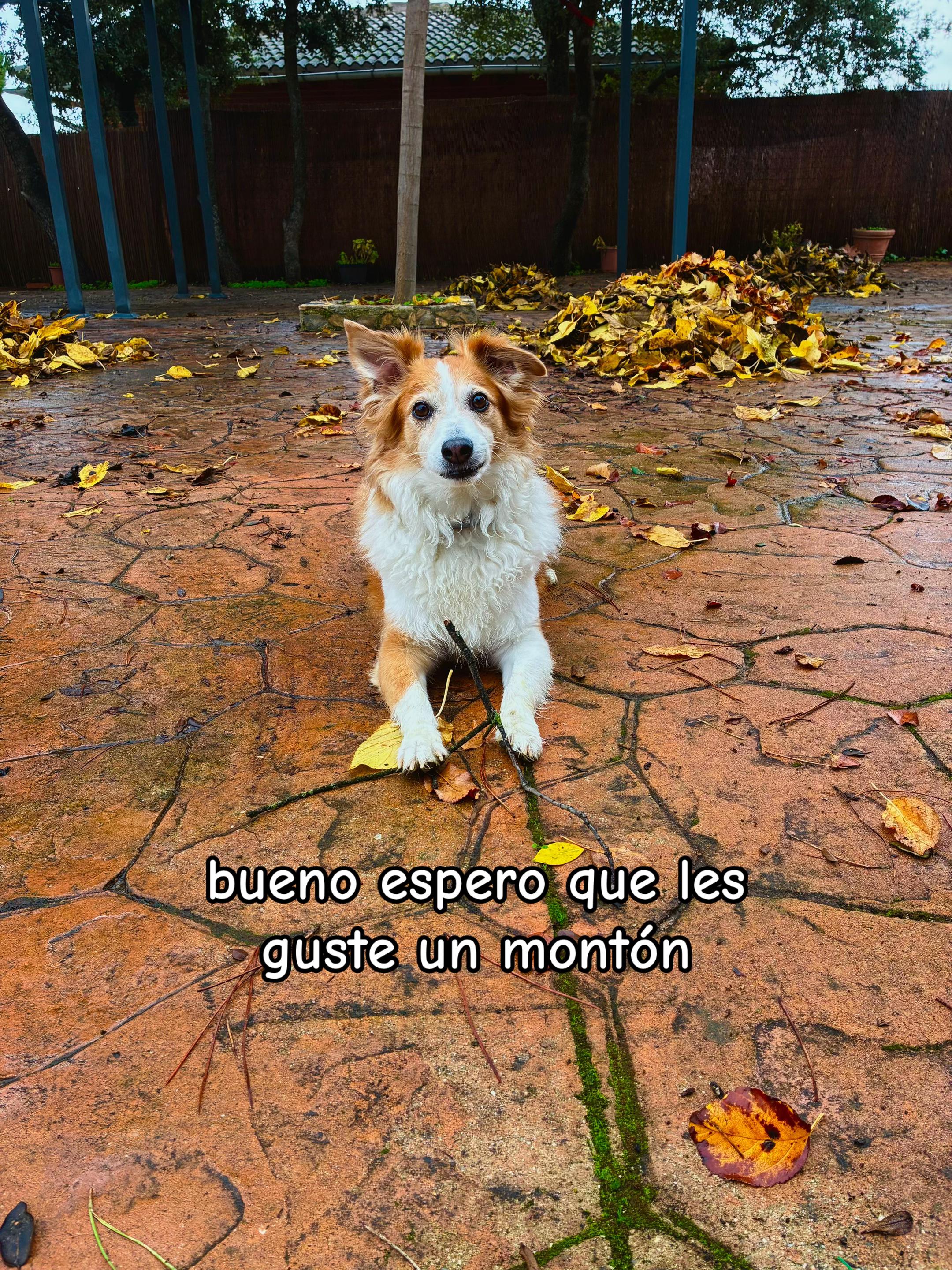 @neek🧡