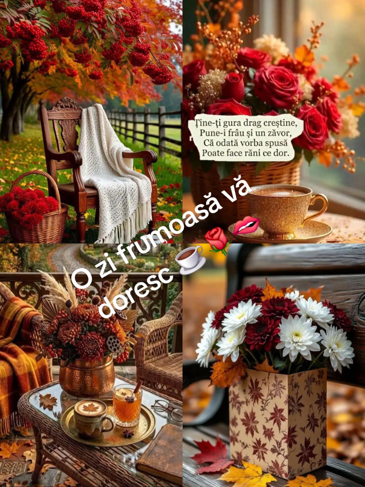 @Maricica74