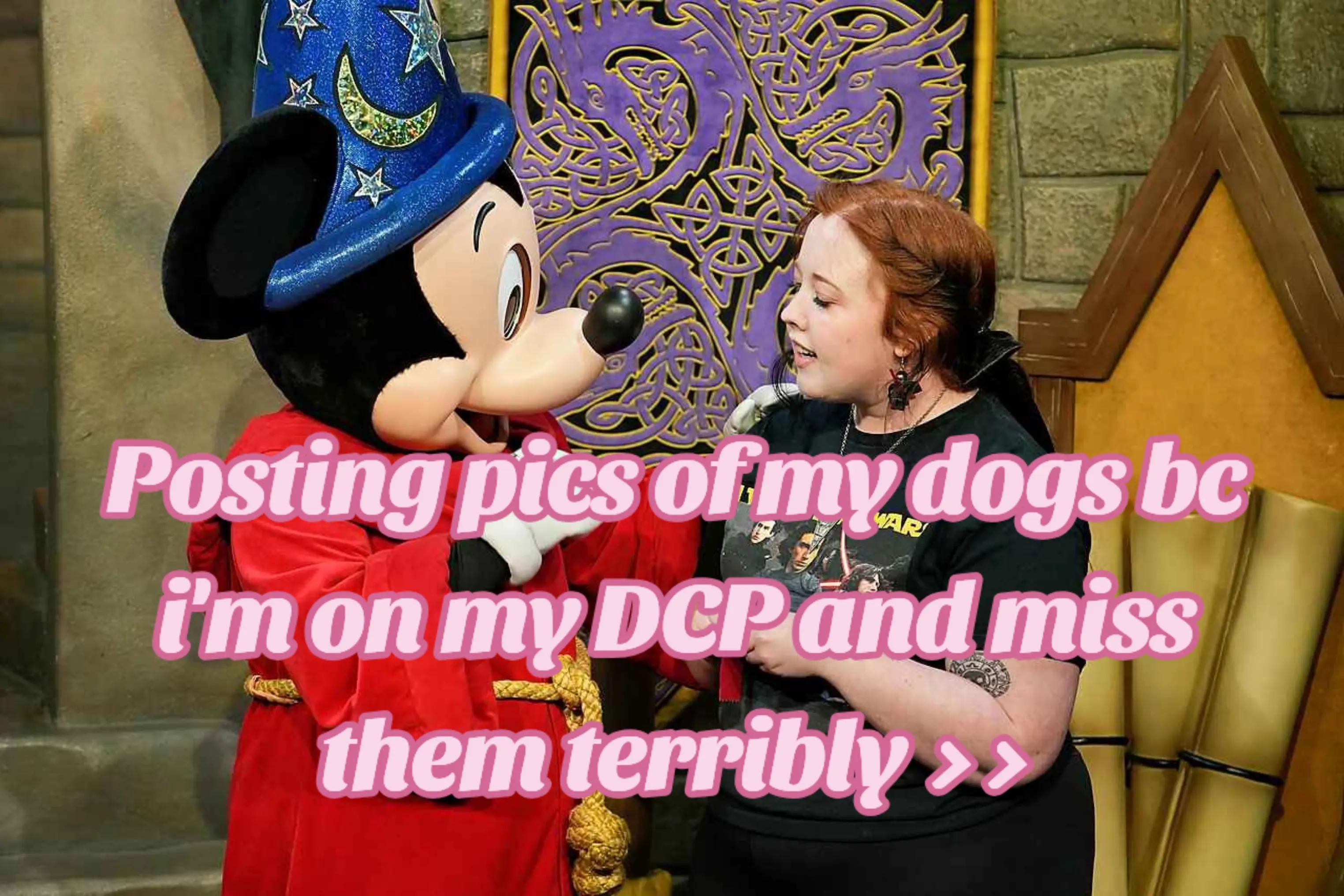 @SwirlyTheIntern