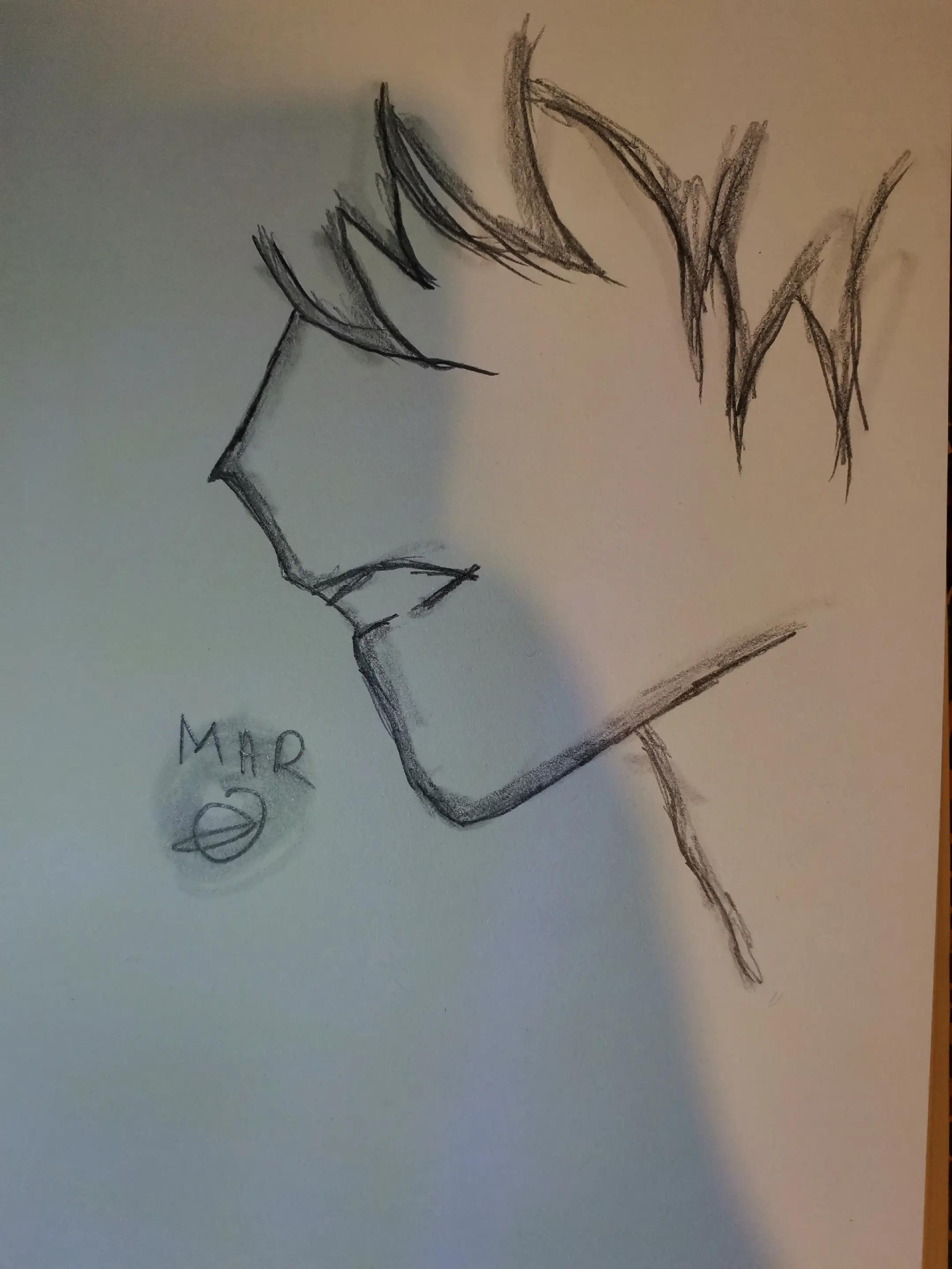 @M. A. R