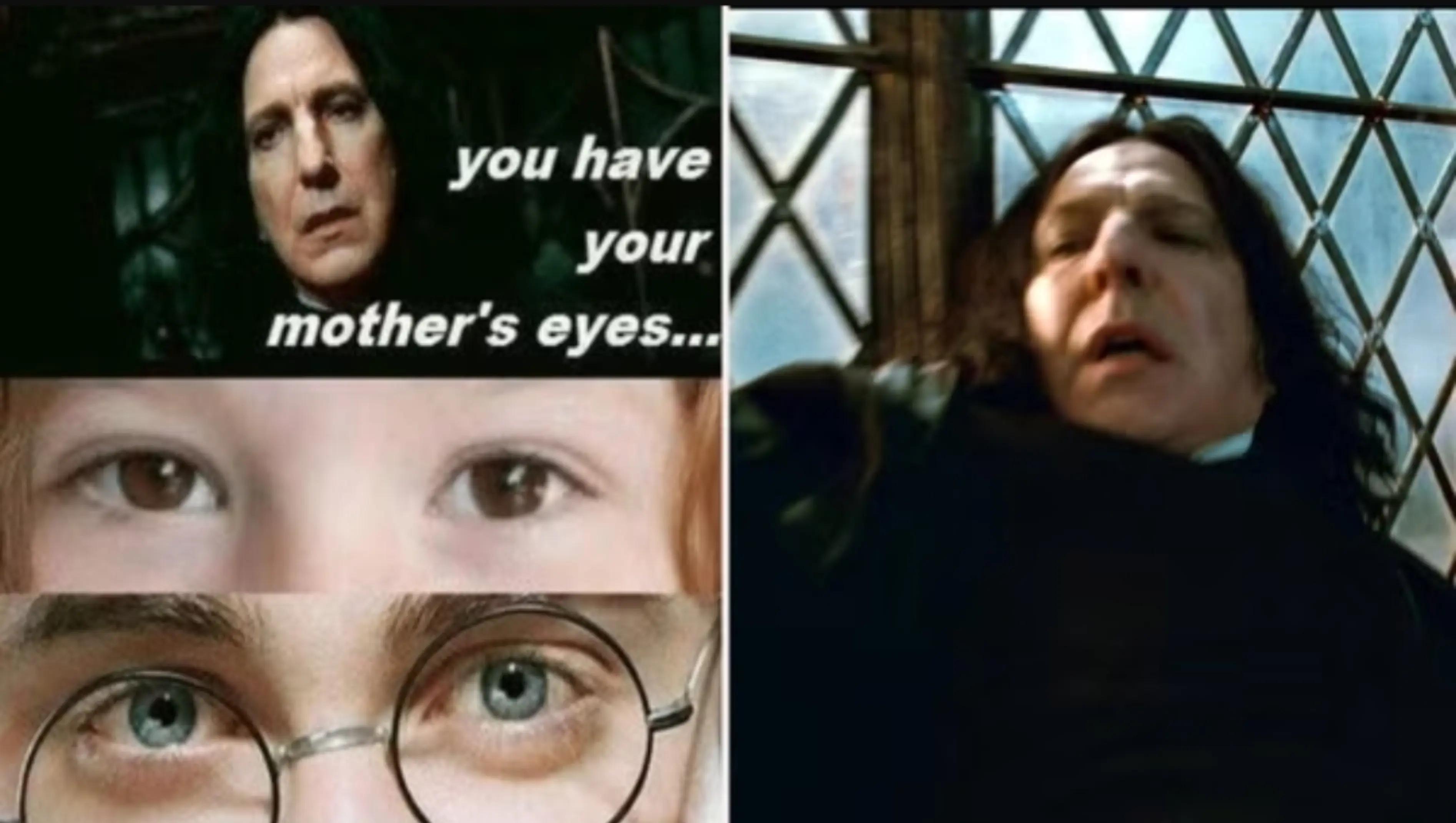 @harrypotterfan8507