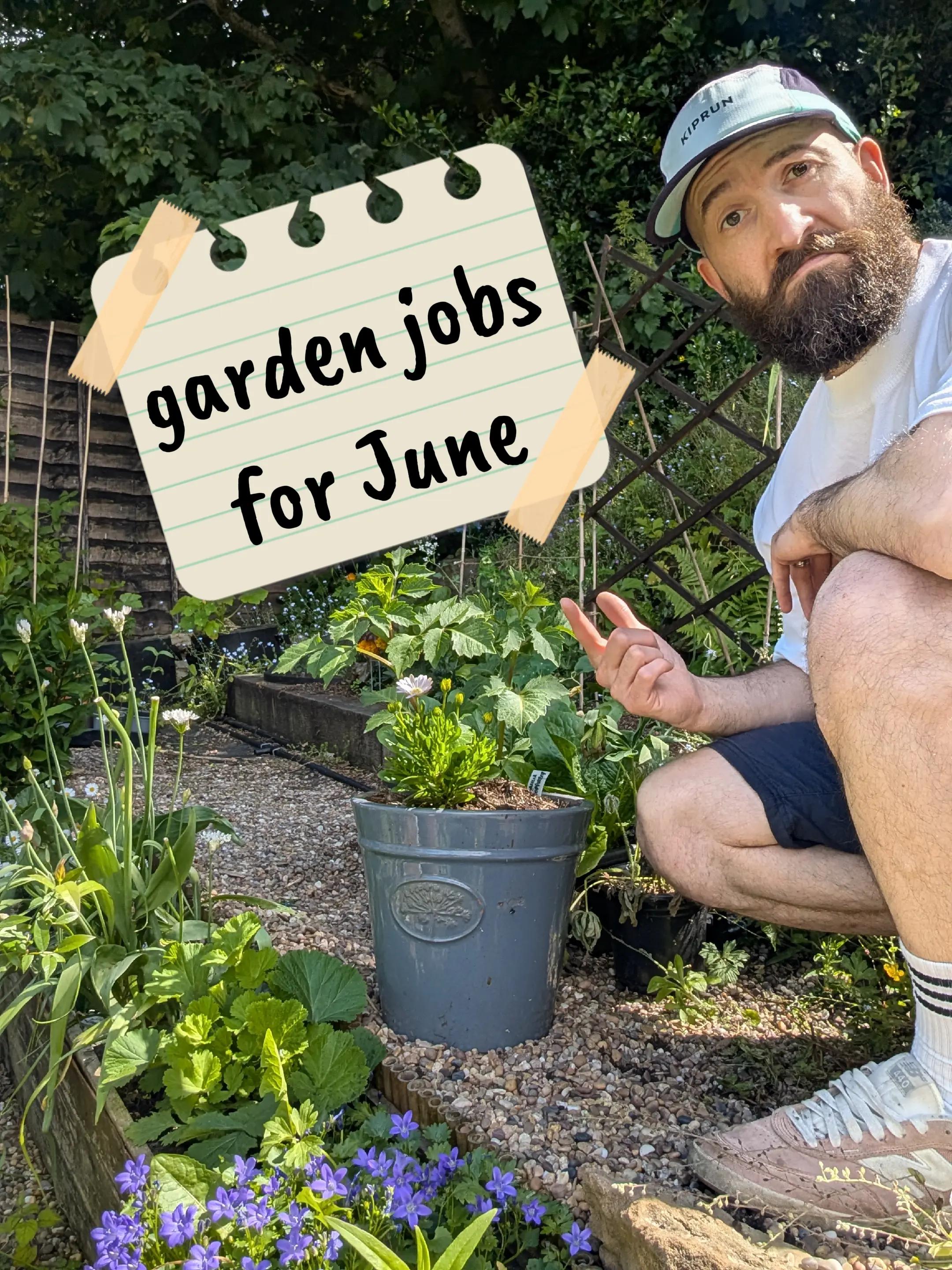 @Steady Going Gardener 🌸🌿