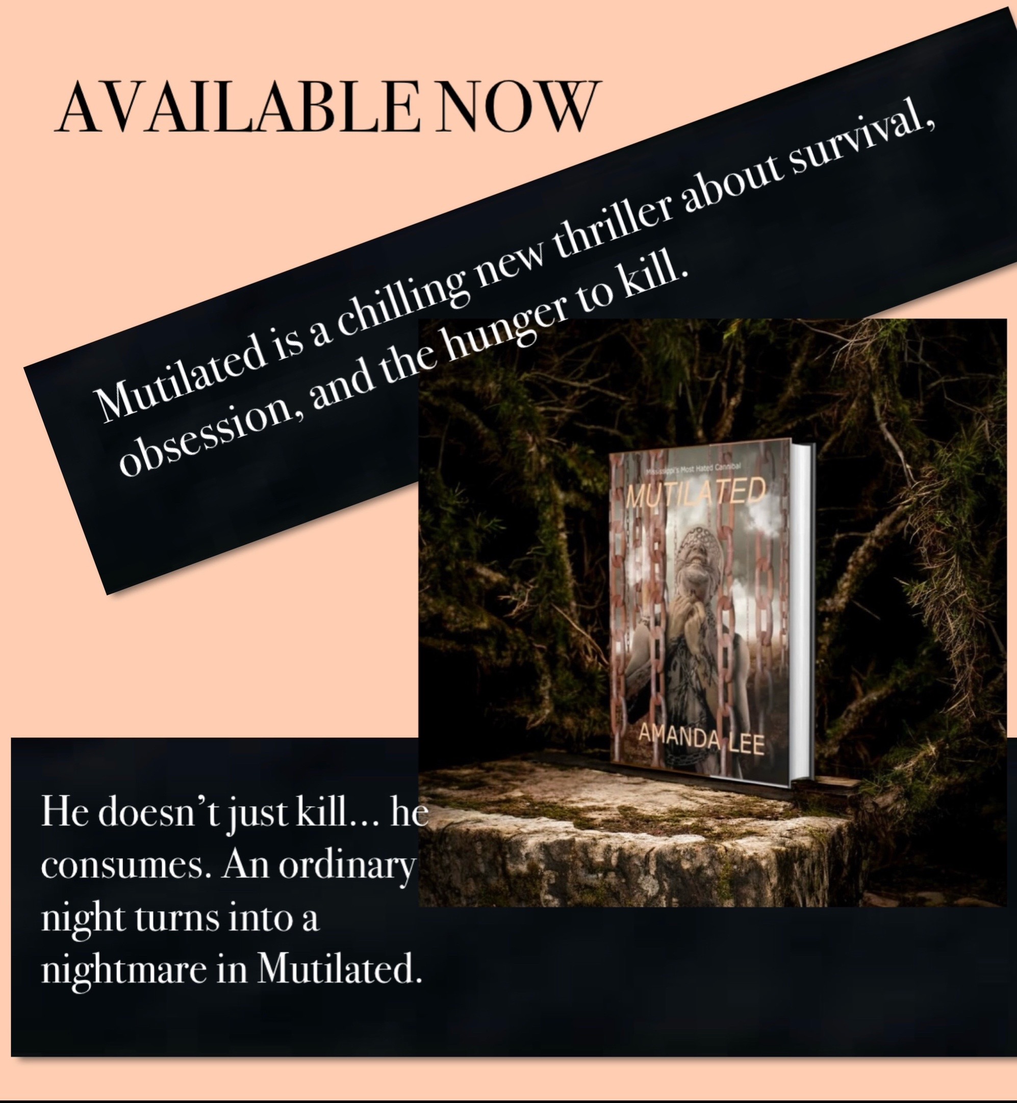 @Amanda Lee - Thriller Author