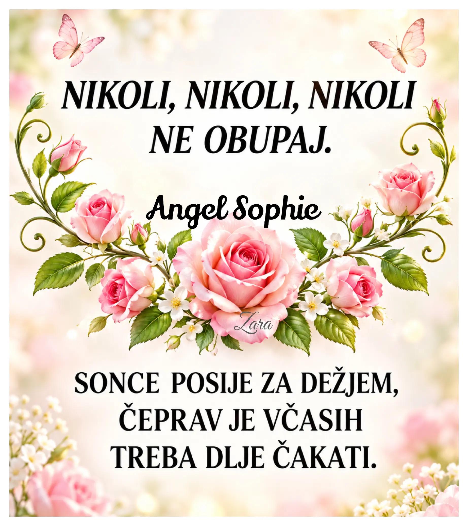 @Zara - Angel Sophie