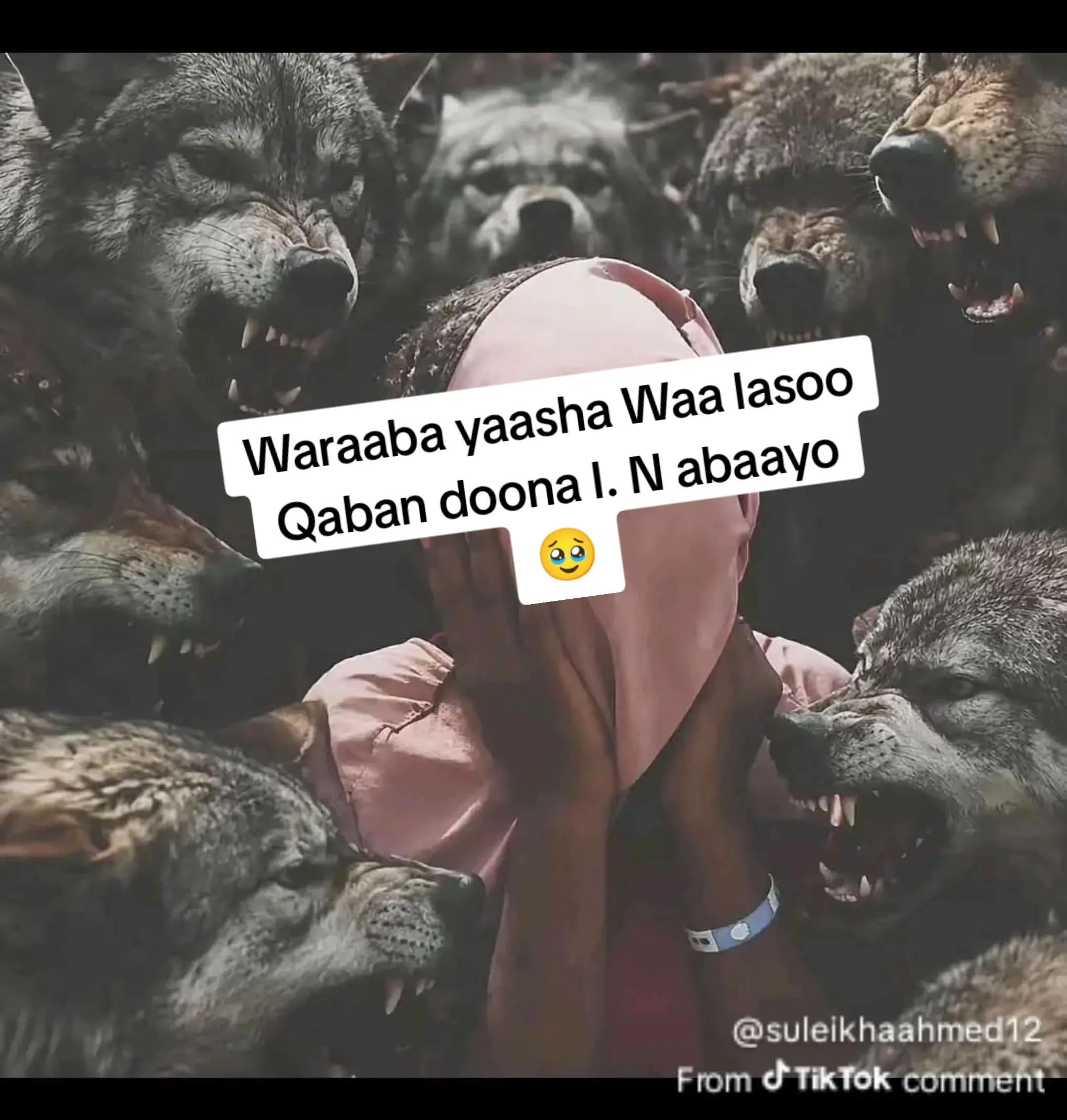@Kati Shire 🇸🇴🇨🇭👑