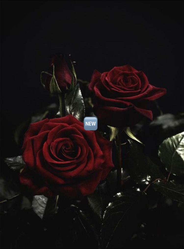 @🥀